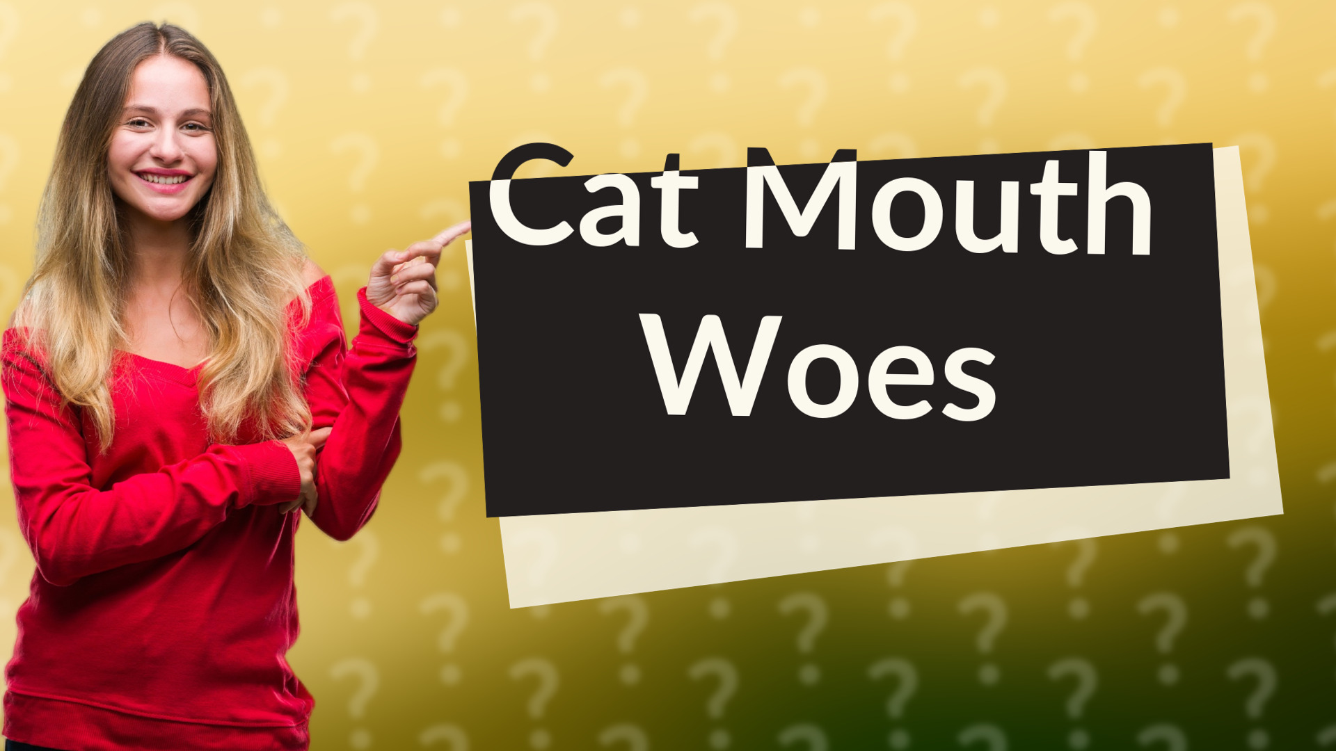 Cat Mouth Woes