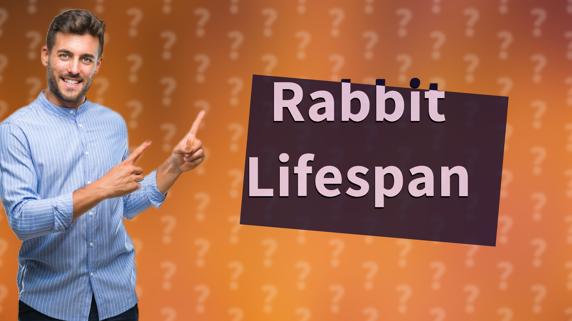 Rabbit Lifespan