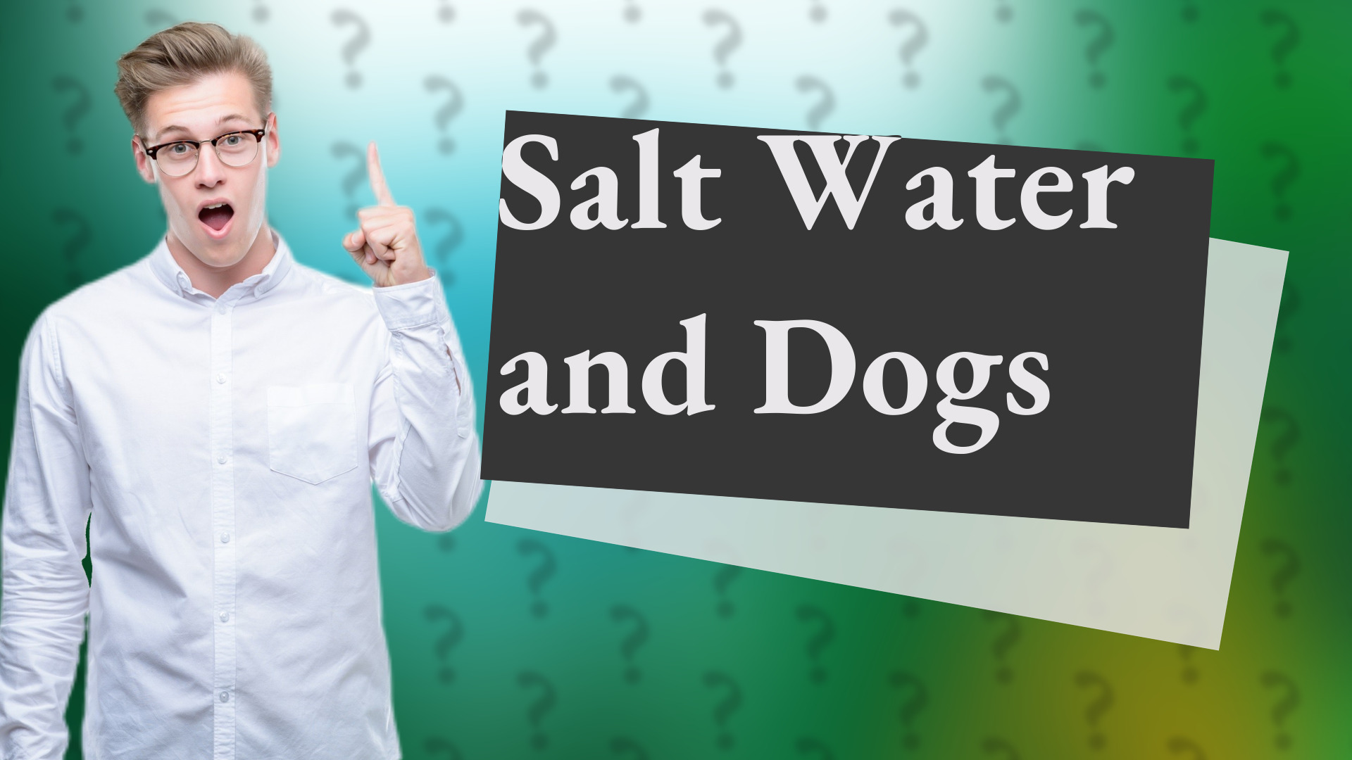 Salt Water and Dogs