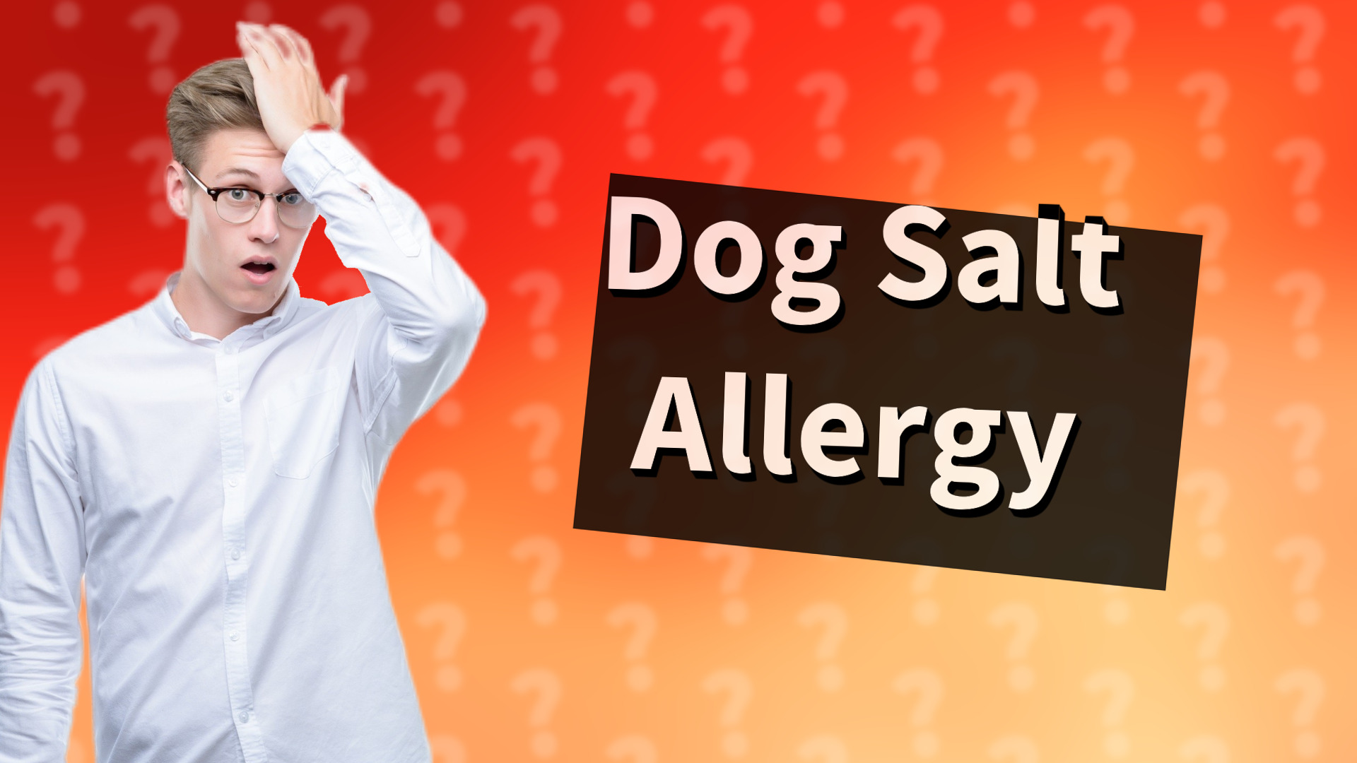 Dog Salt Allergy