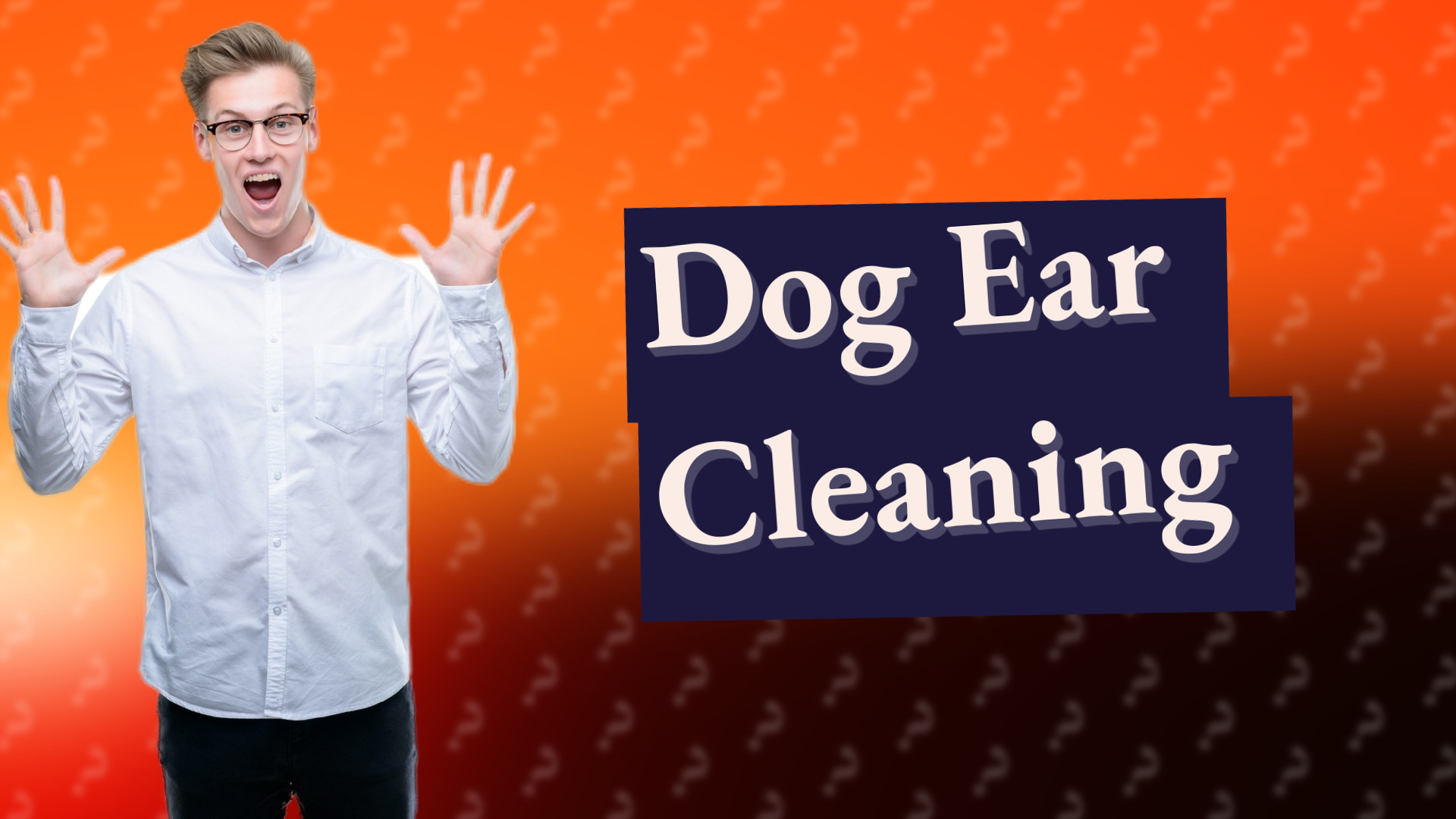 Dog Ear Cleaning