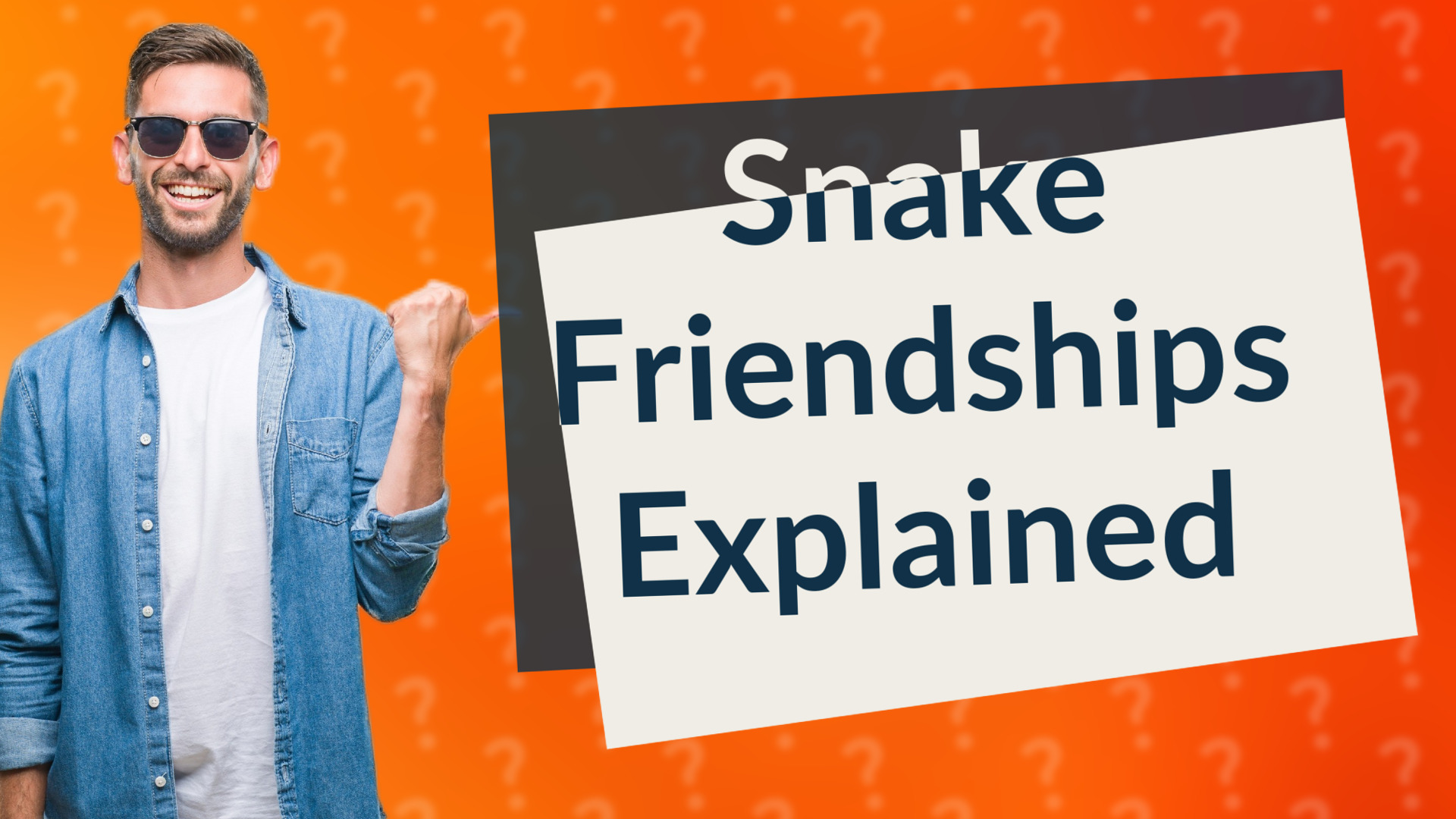 Snake Friendships Explained