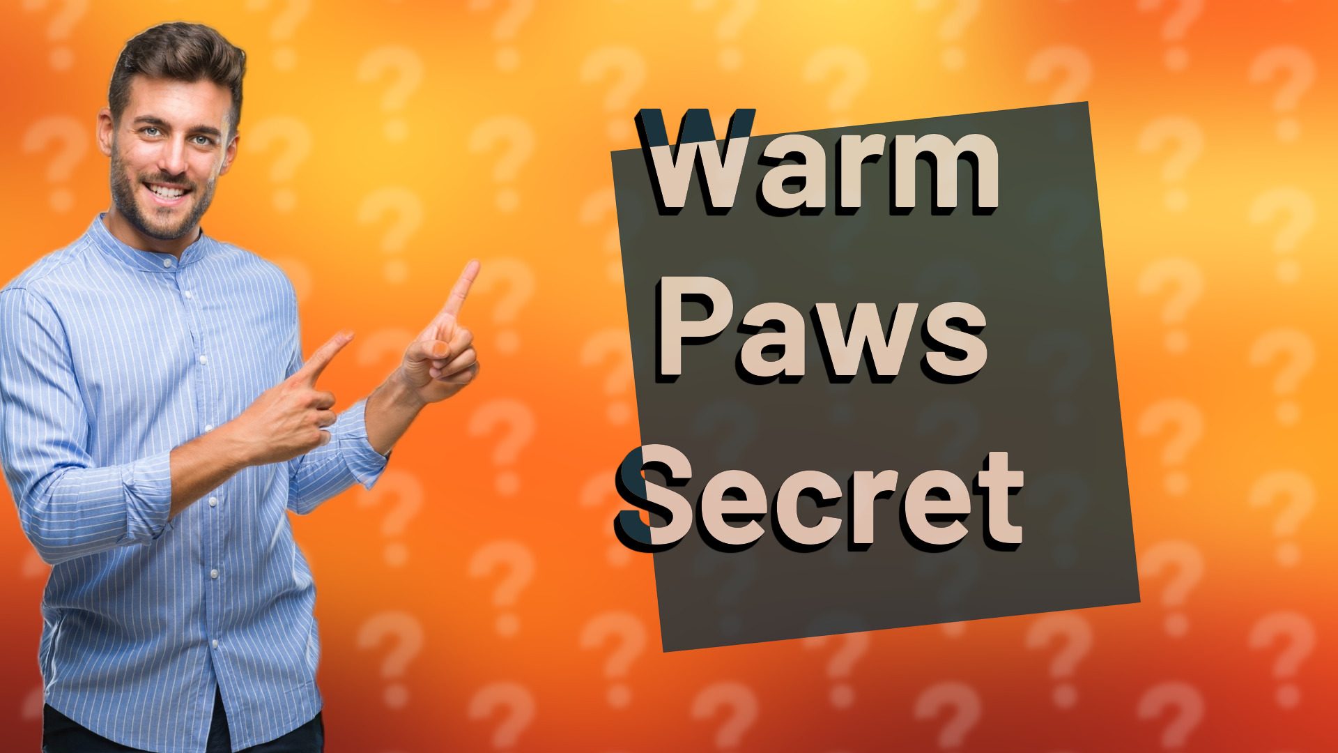 Warm Paws Secret