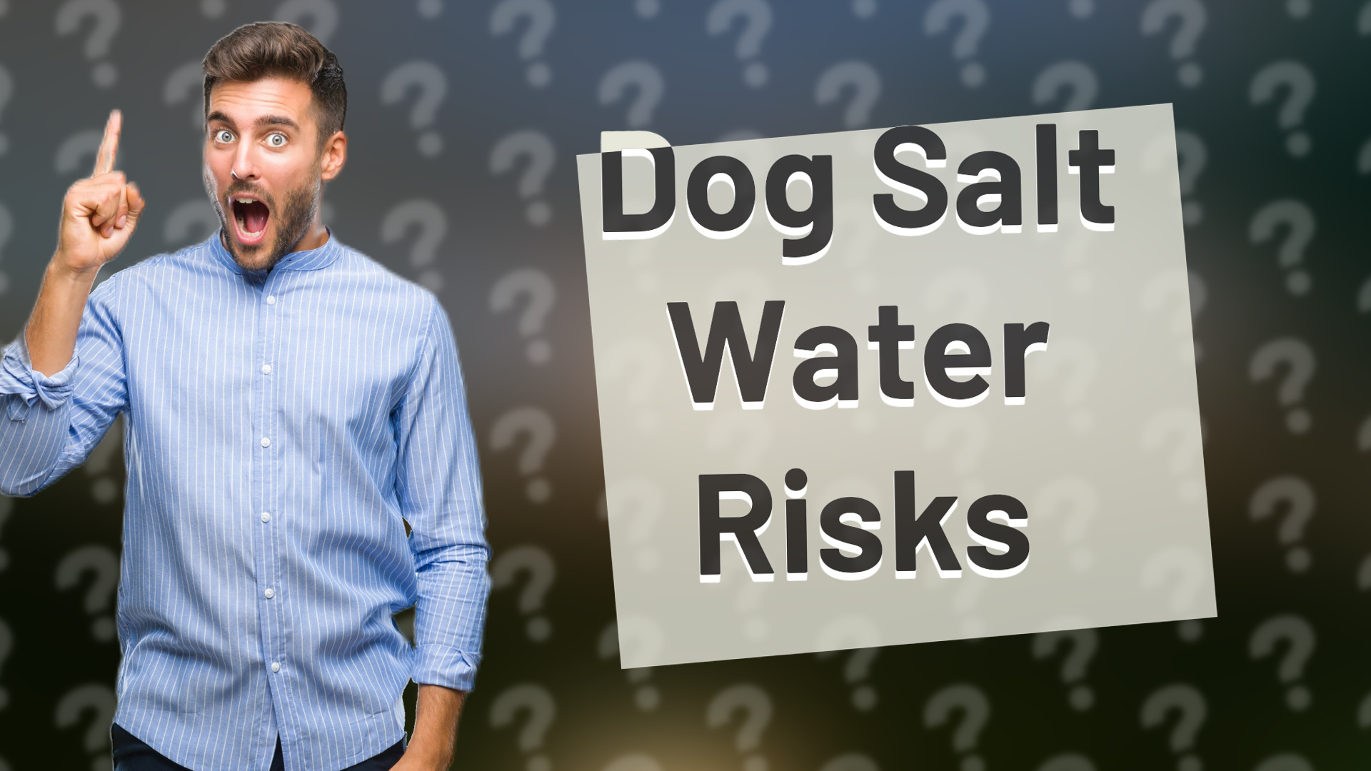Dog Salt Water Risks