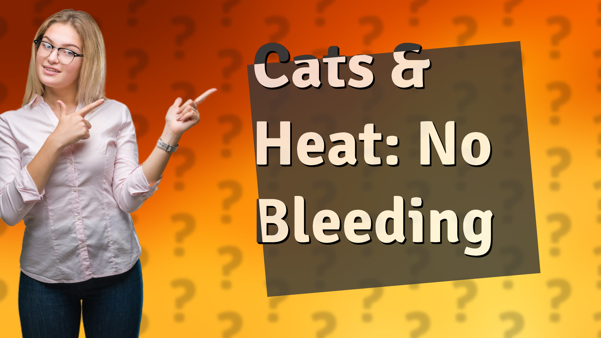Cats & Heat: No Bleeding