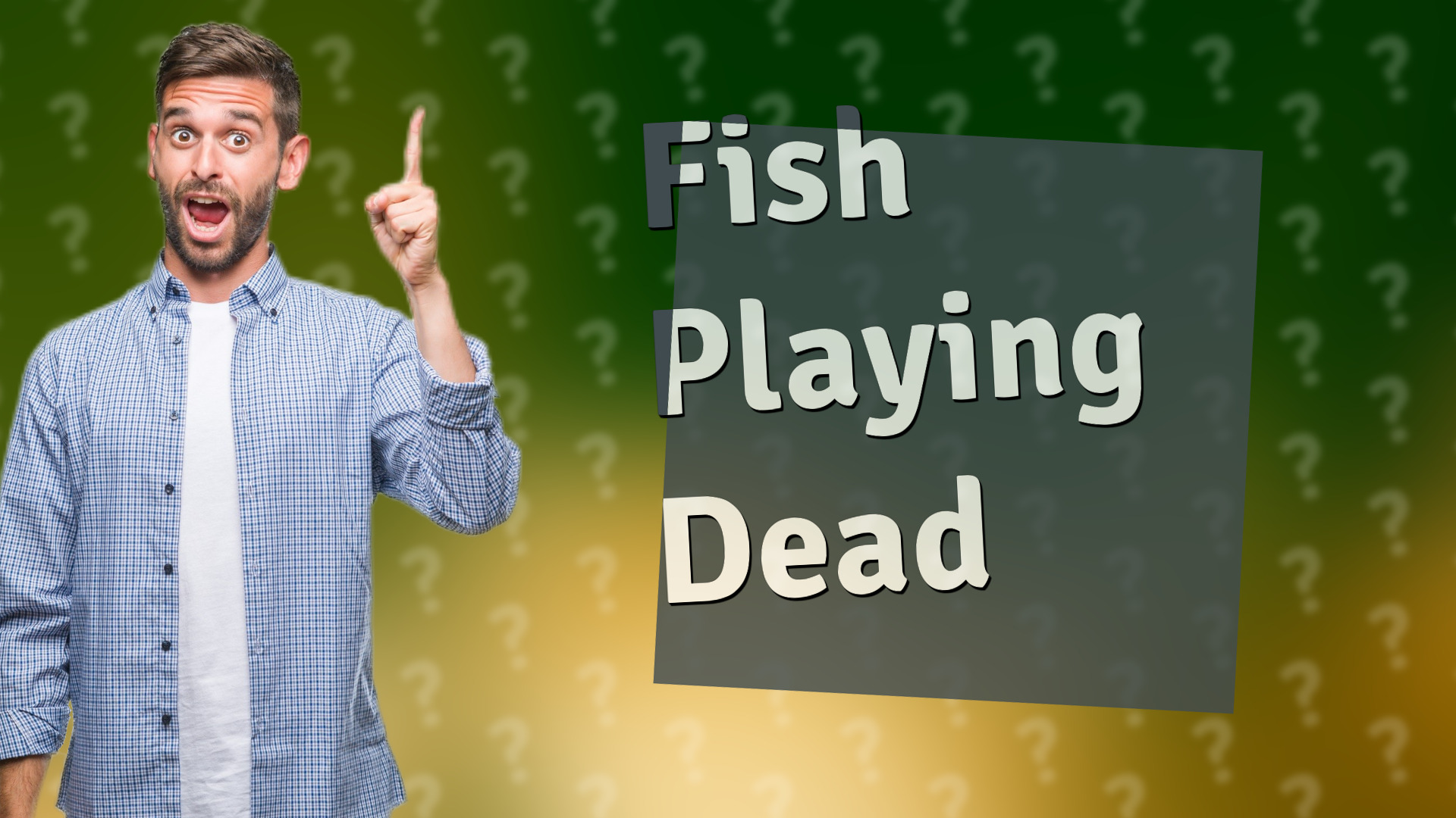 Fish Playing Dead