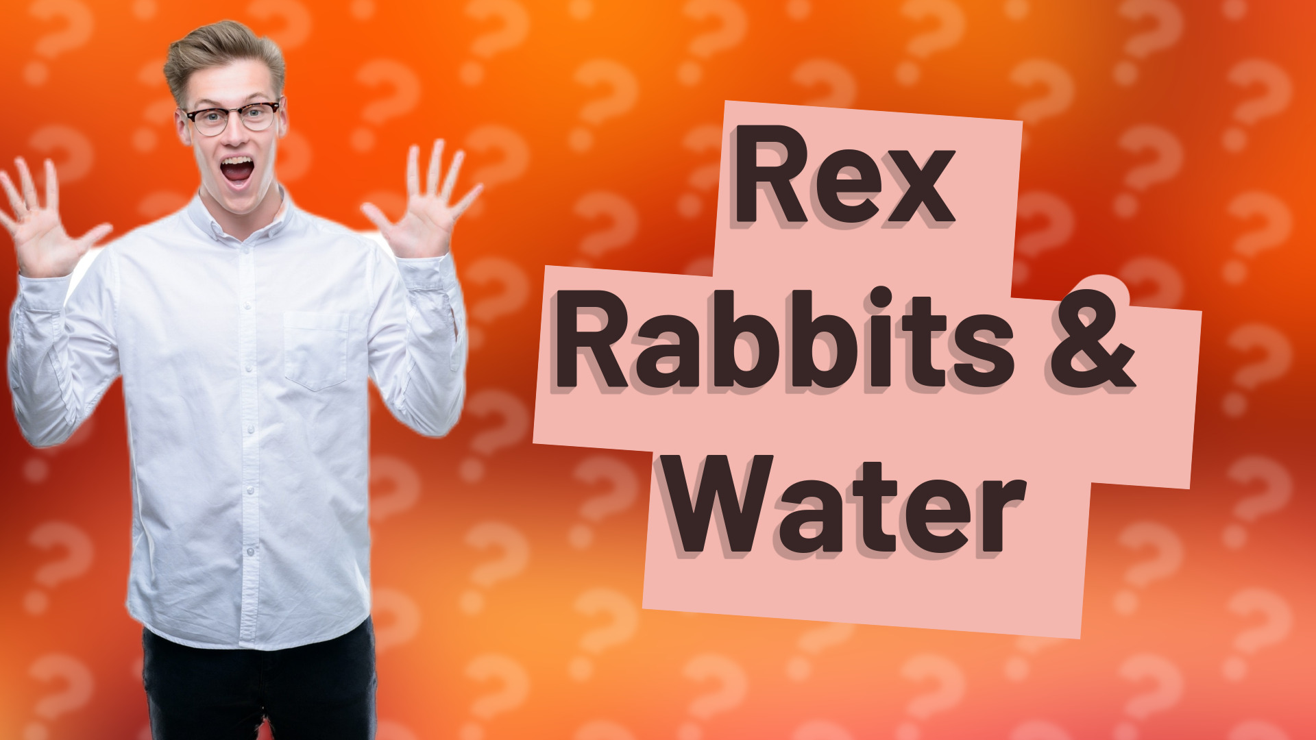 Rex Rabbits & Water
