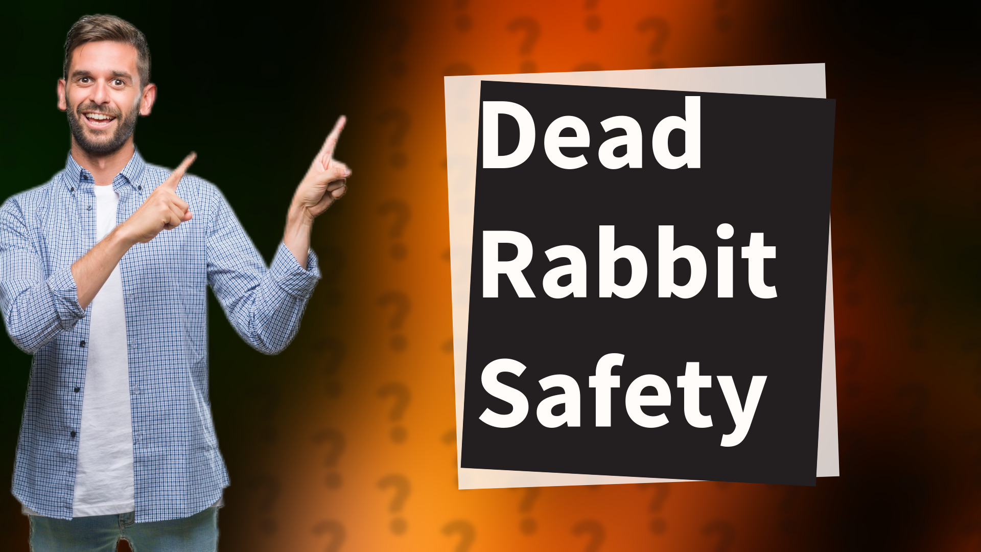 Dead Rabbit Safety