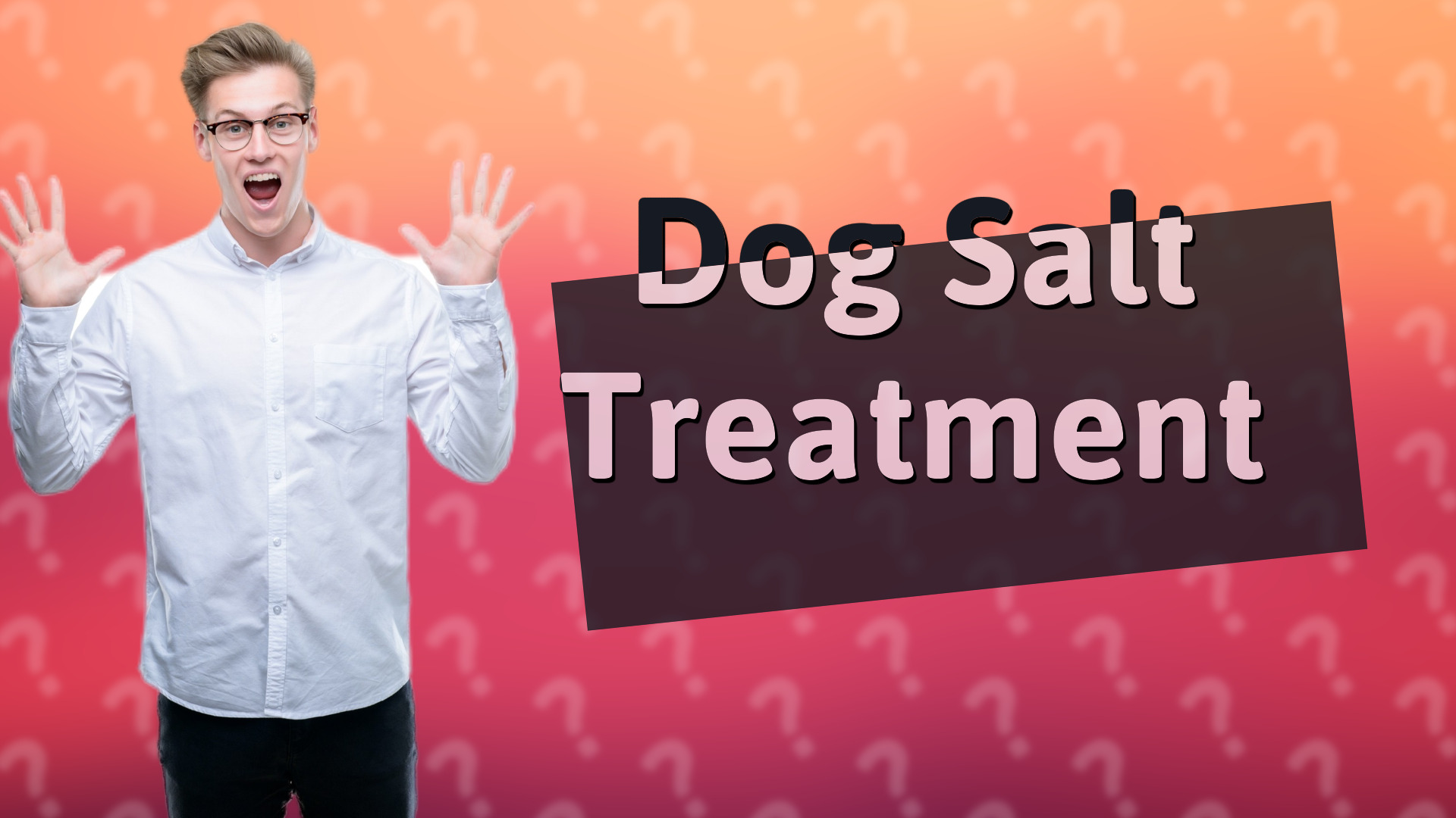 Dog Salt Treatment