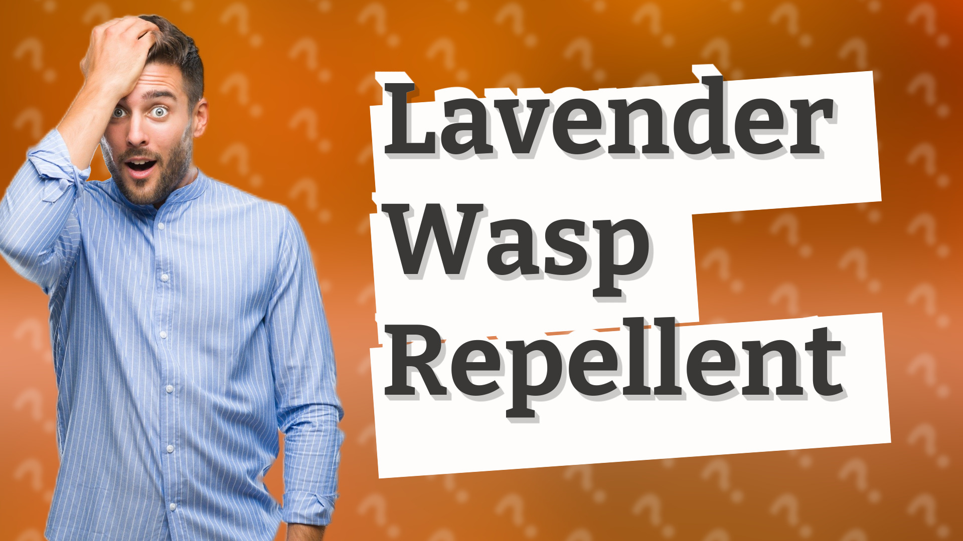 Lavender Wasp Repellent