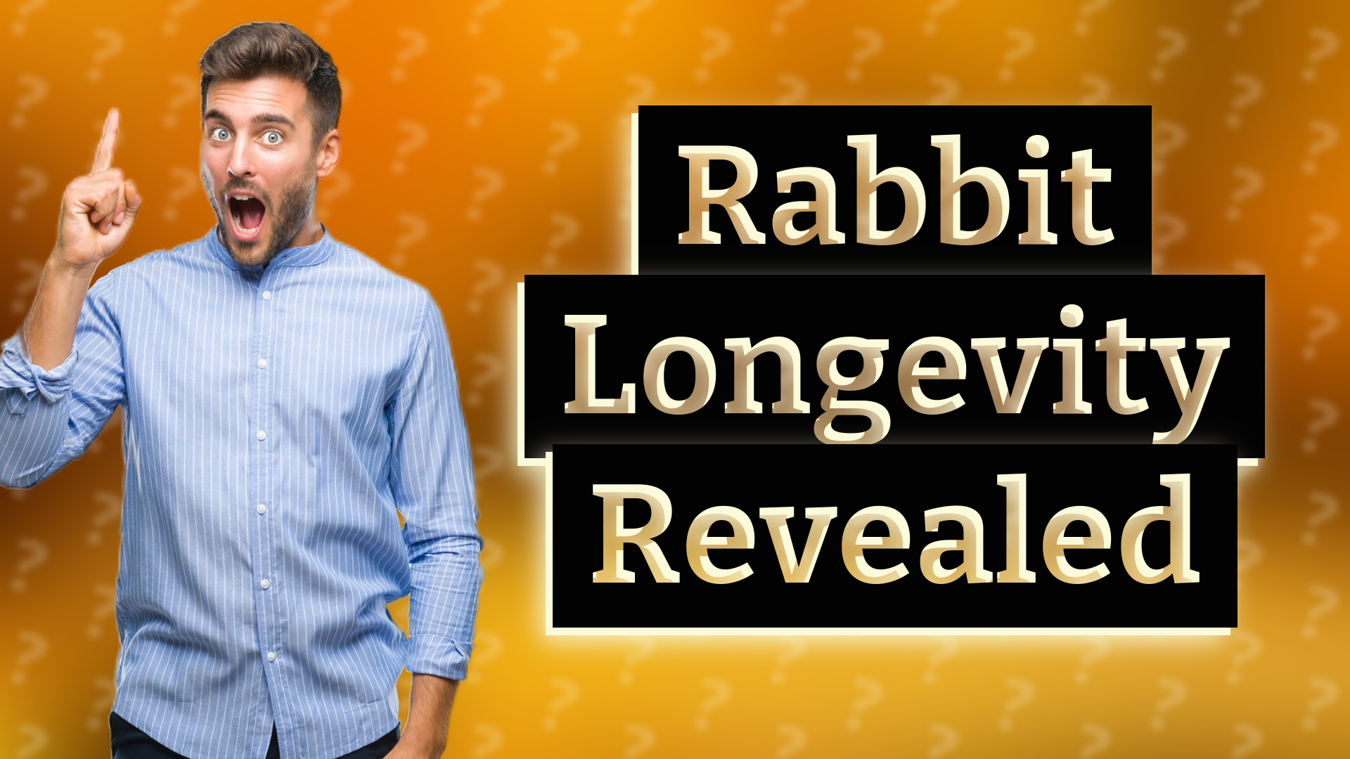 Rabbit Longevity Revealed