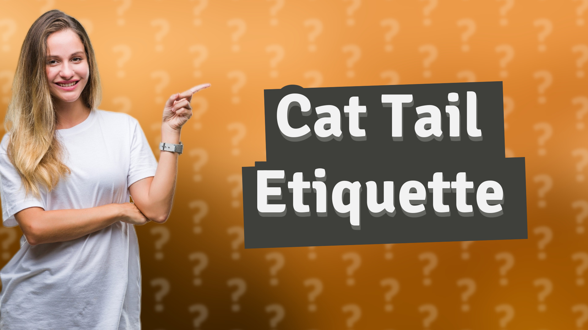 Cat Tail Etiquette