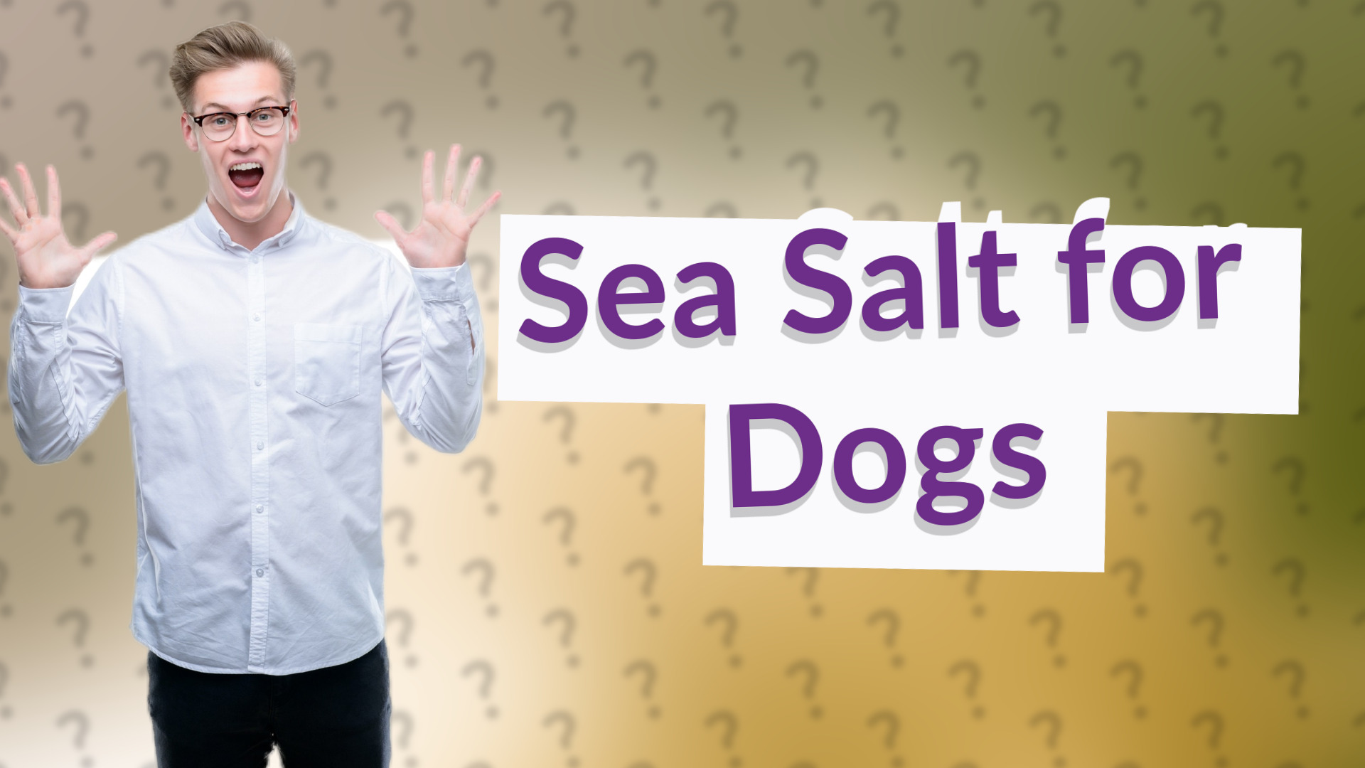 Sea Salt for Dogs