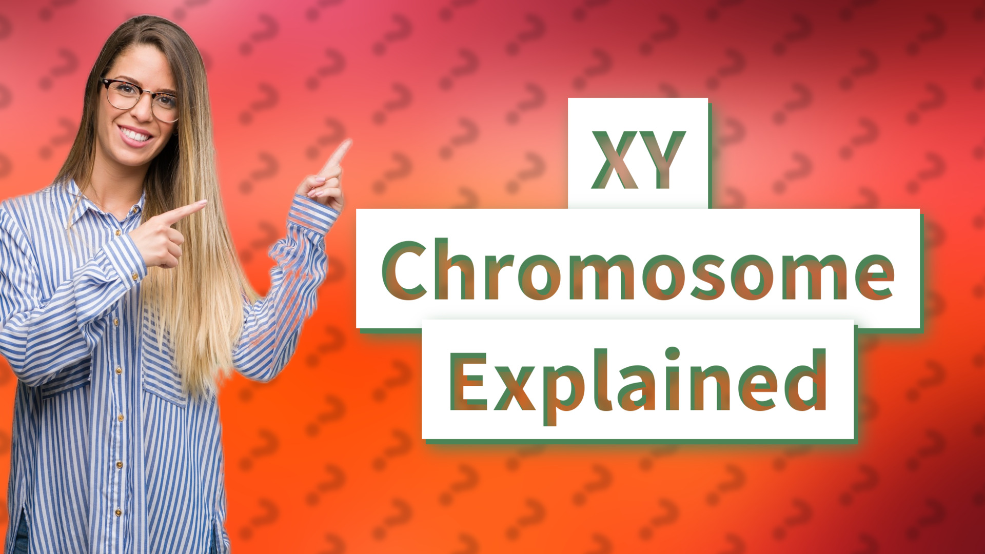 XY Chromosome Explained