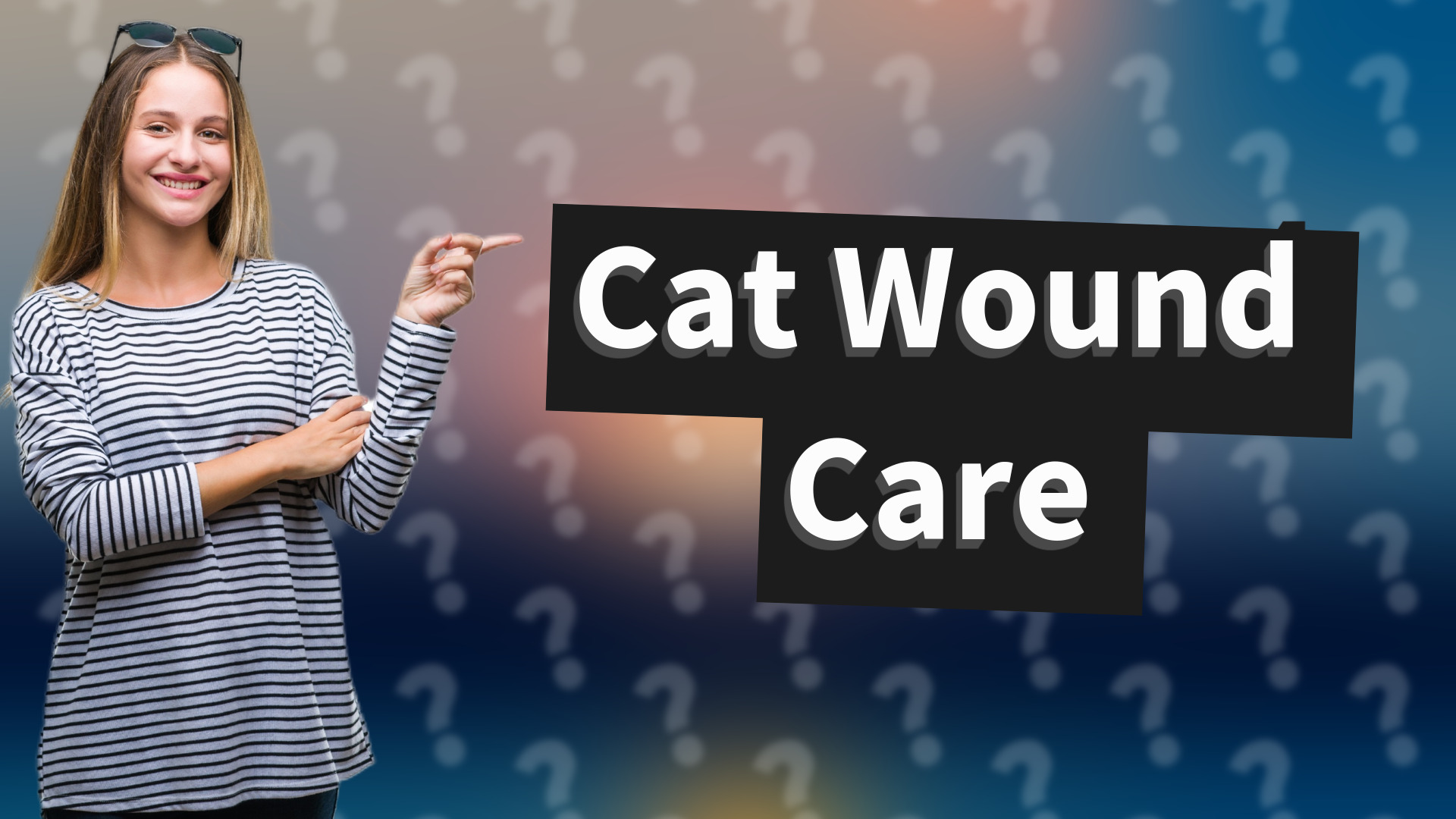 Cat Wound Care