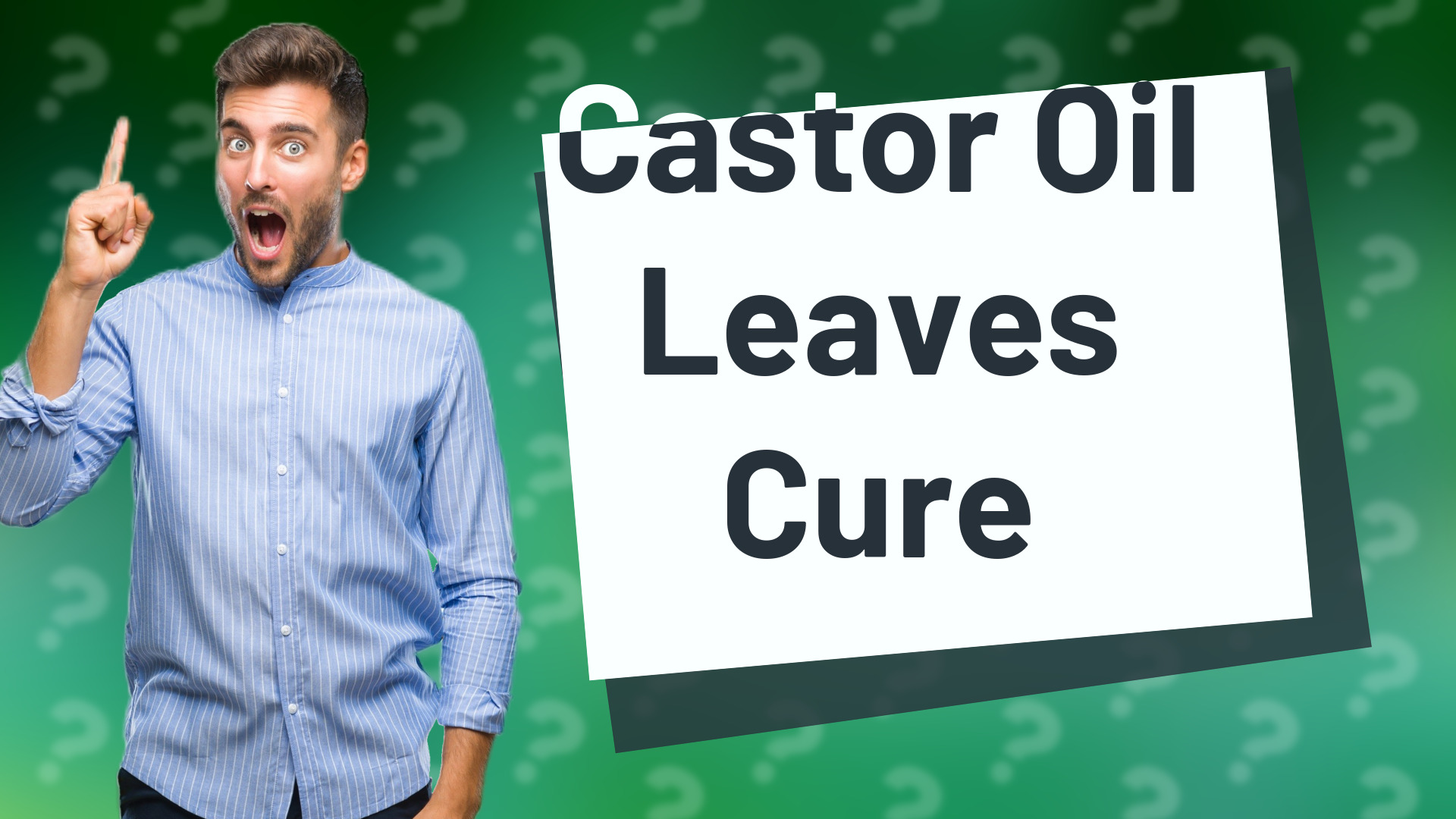 Castor Oil Leaves Cure