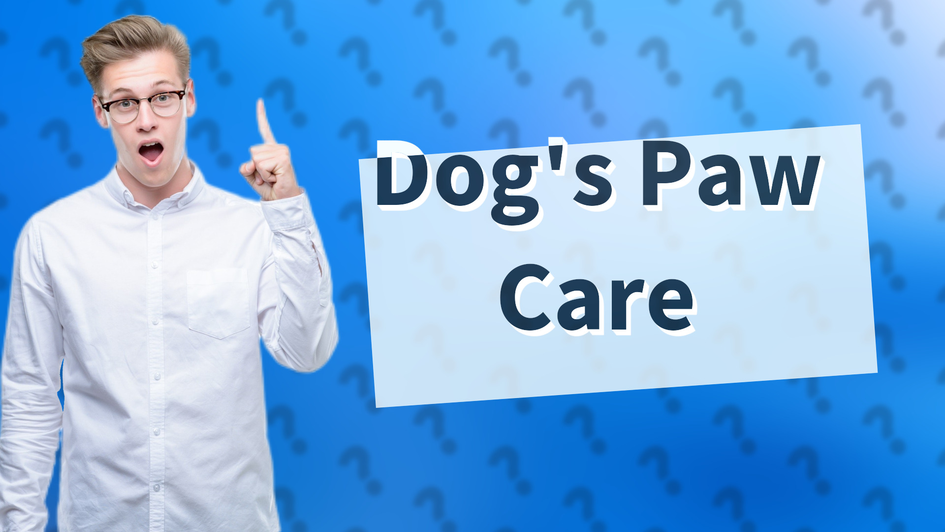 Dog's Paw Care