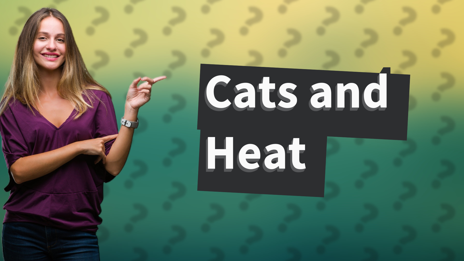 Cats and Heat