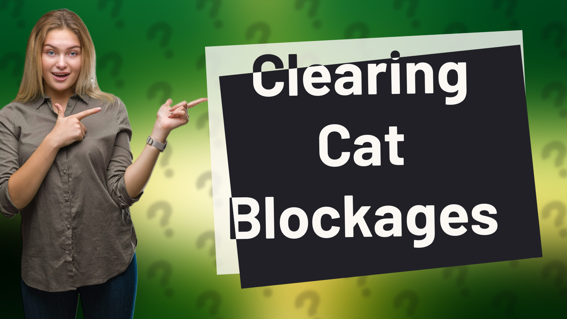 Clearing Cat Blockages