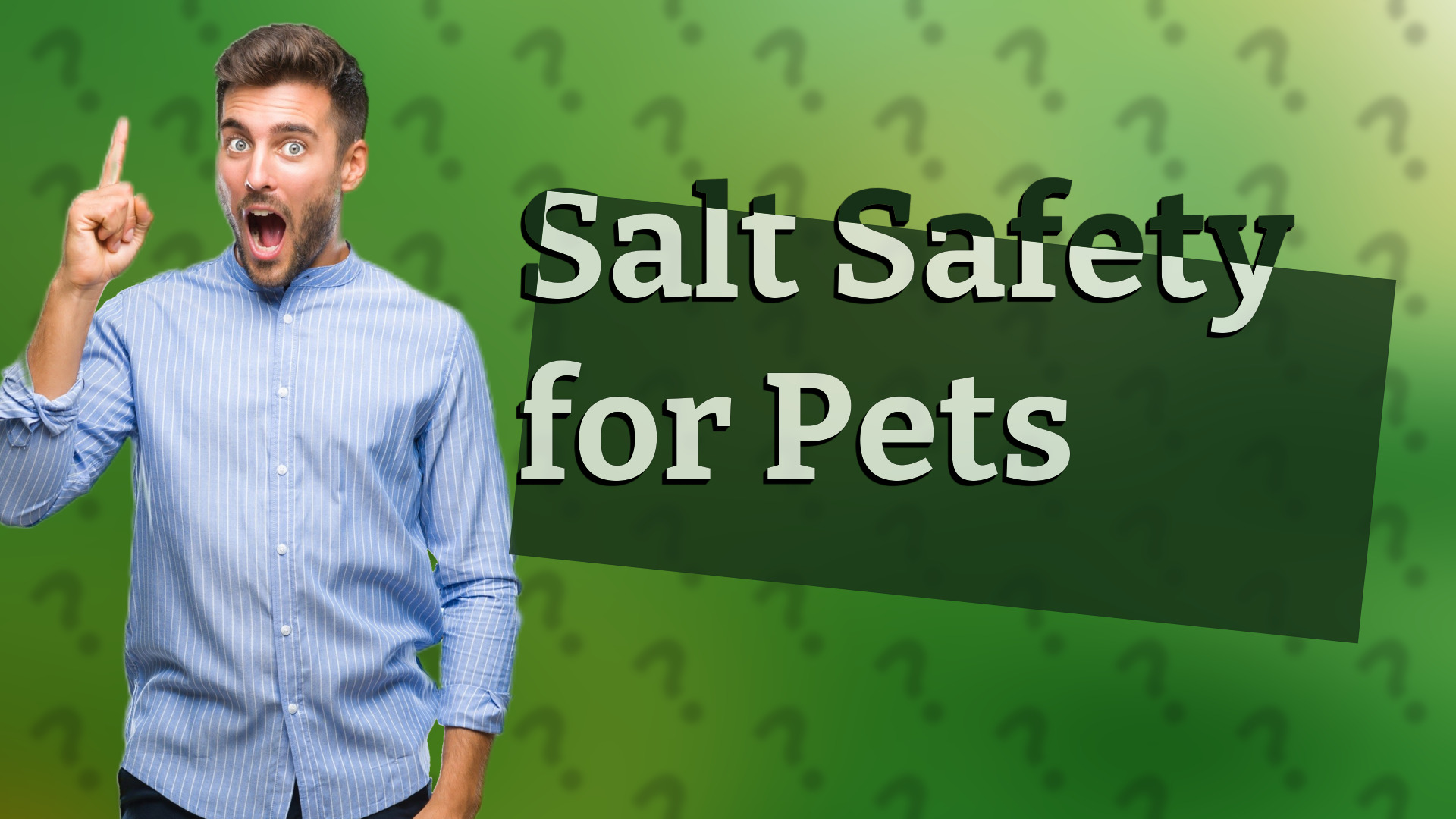Salt Safety for Pets