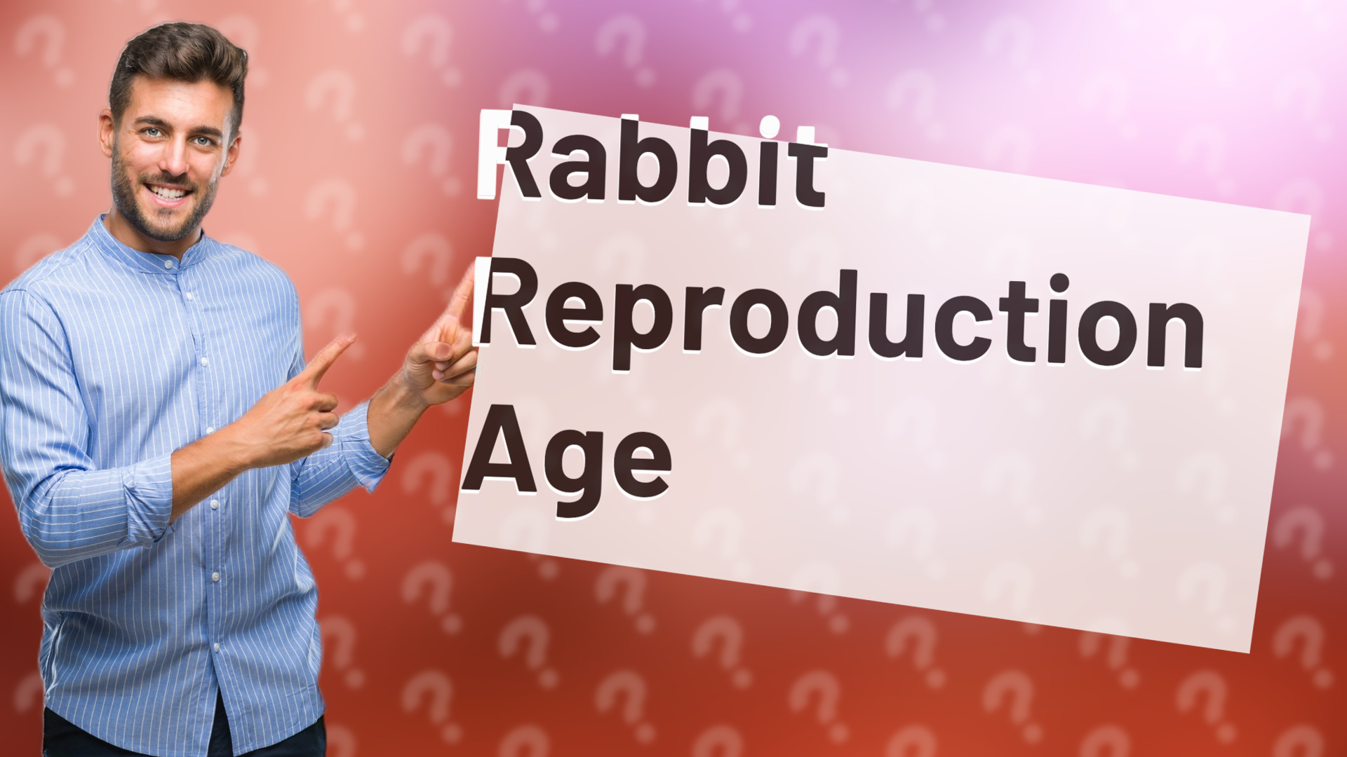 Rabbit Reproduction Age