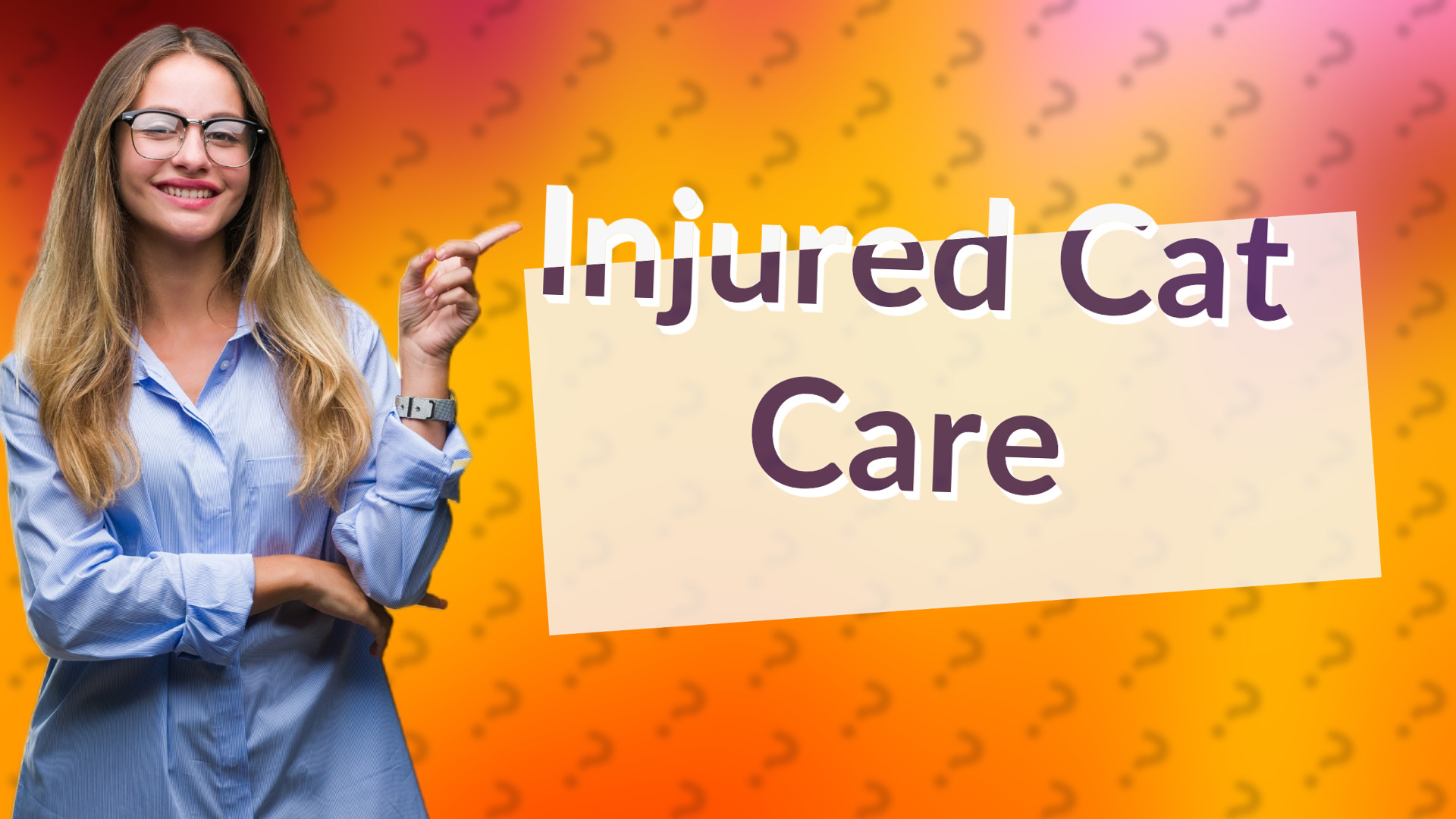 Injured Cat Care