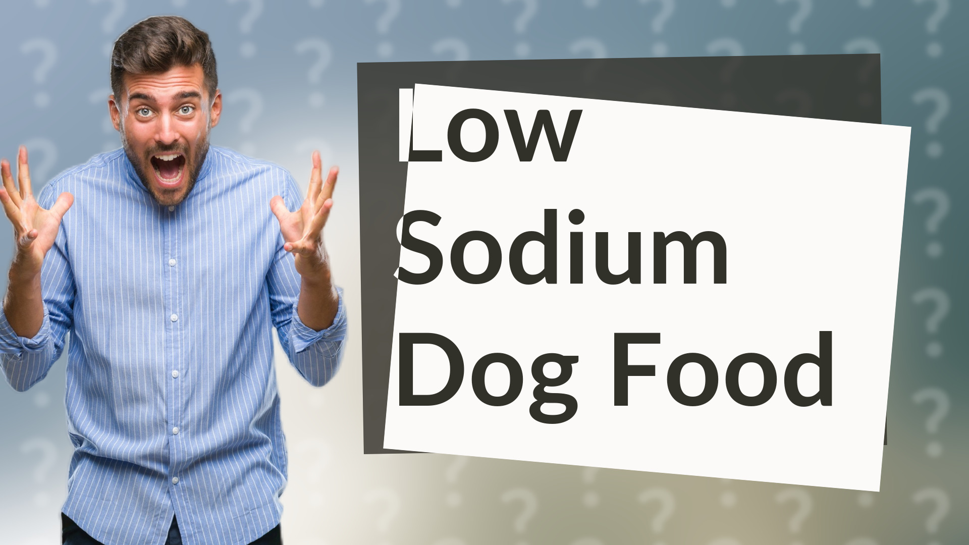 Low Sodium Dog Food