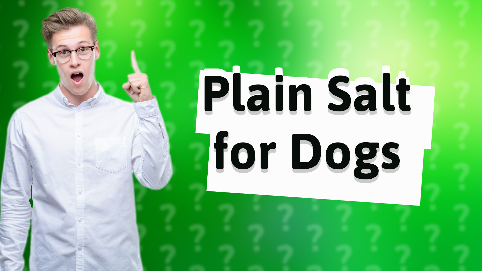 Plain Salt for Dogs