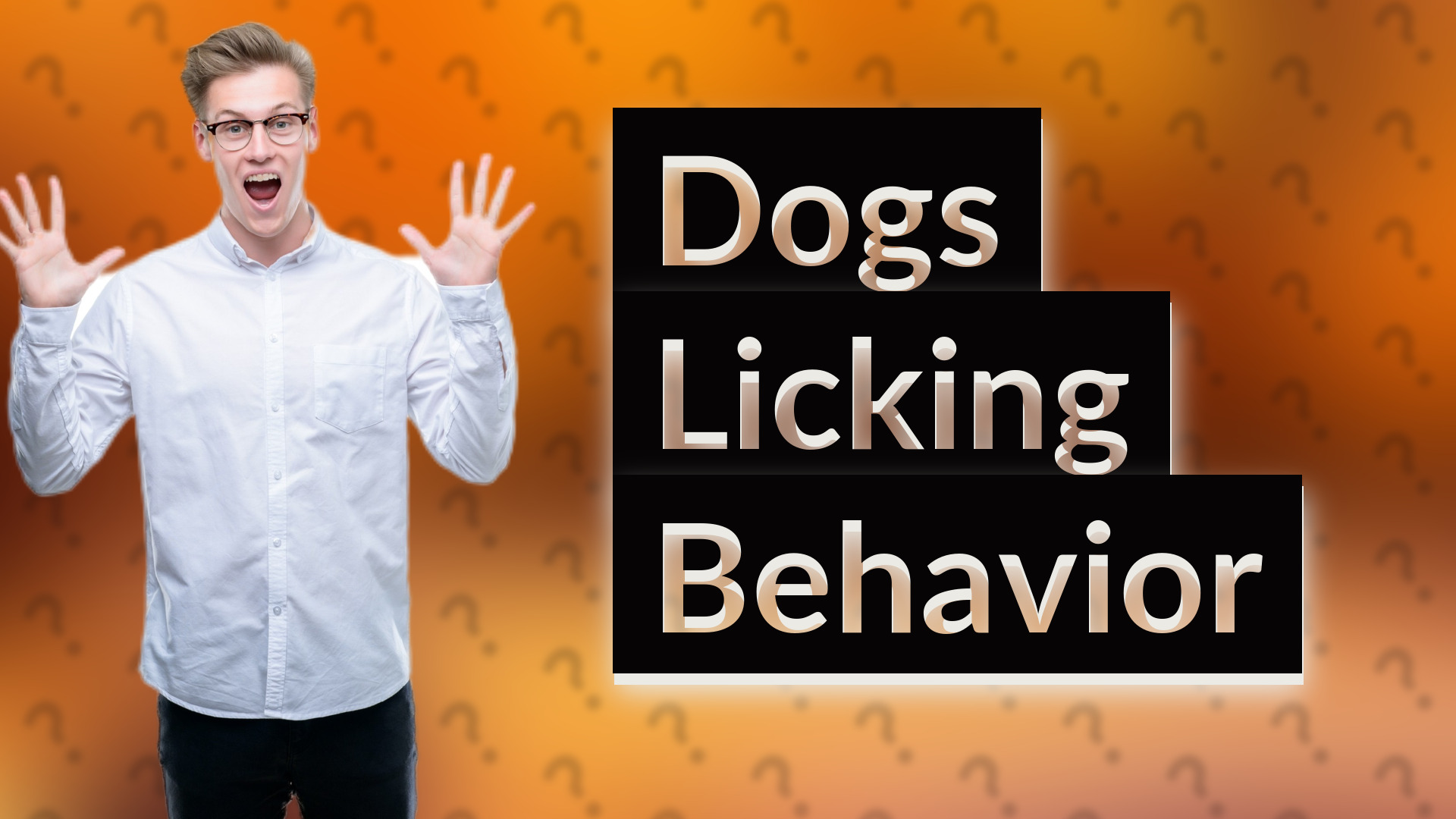 Dogs Licking Behavior