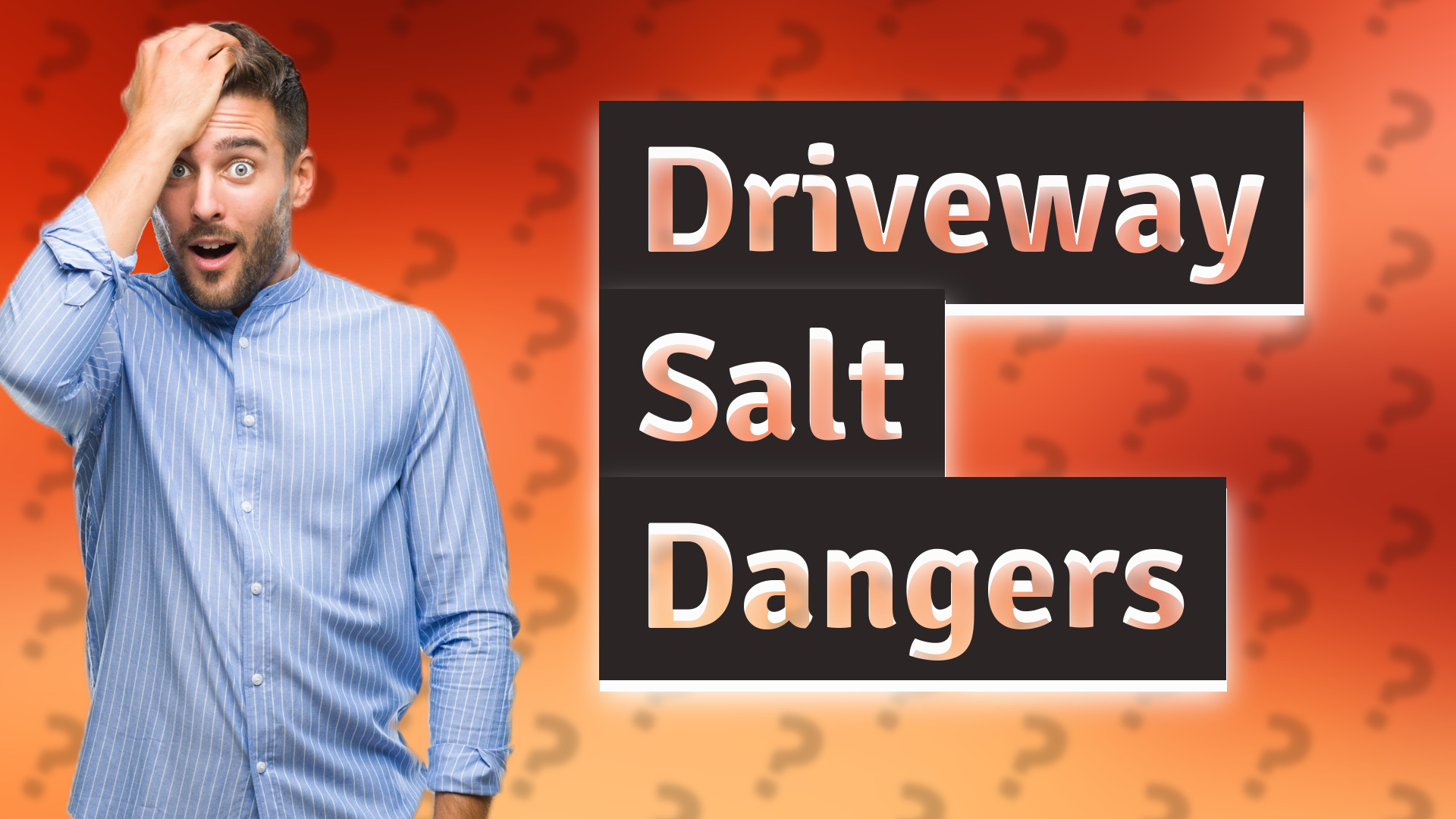 Driveway Salt Dangers