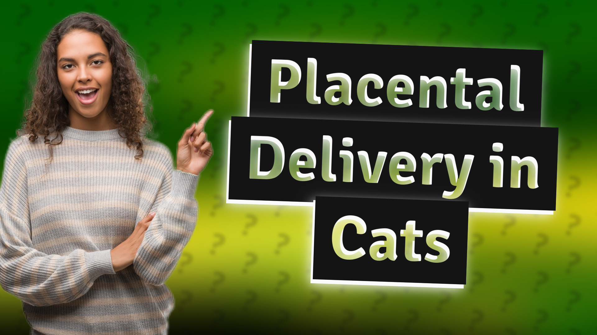 Placental Delivery in Cats
