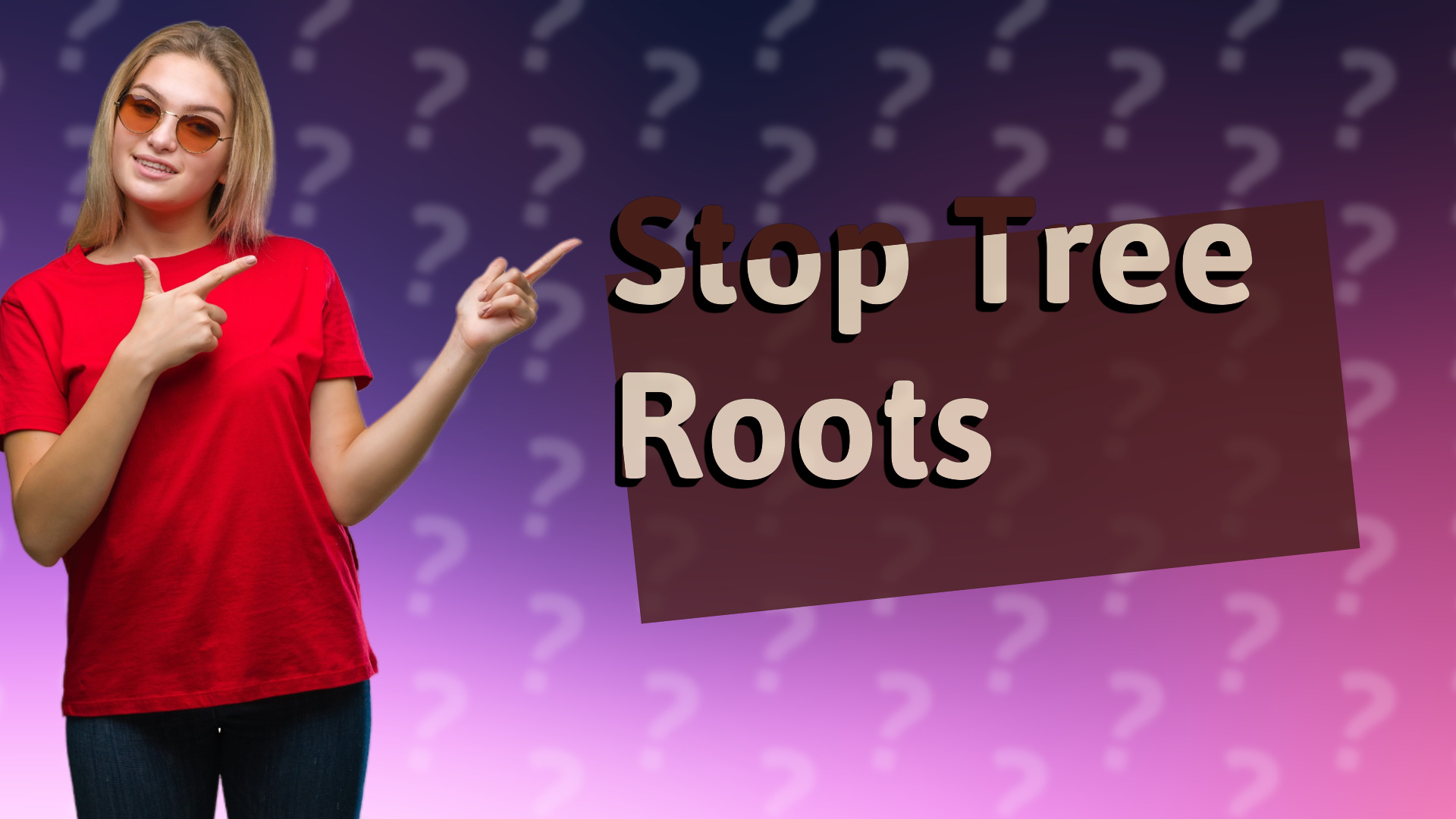 Stop Tree Roots