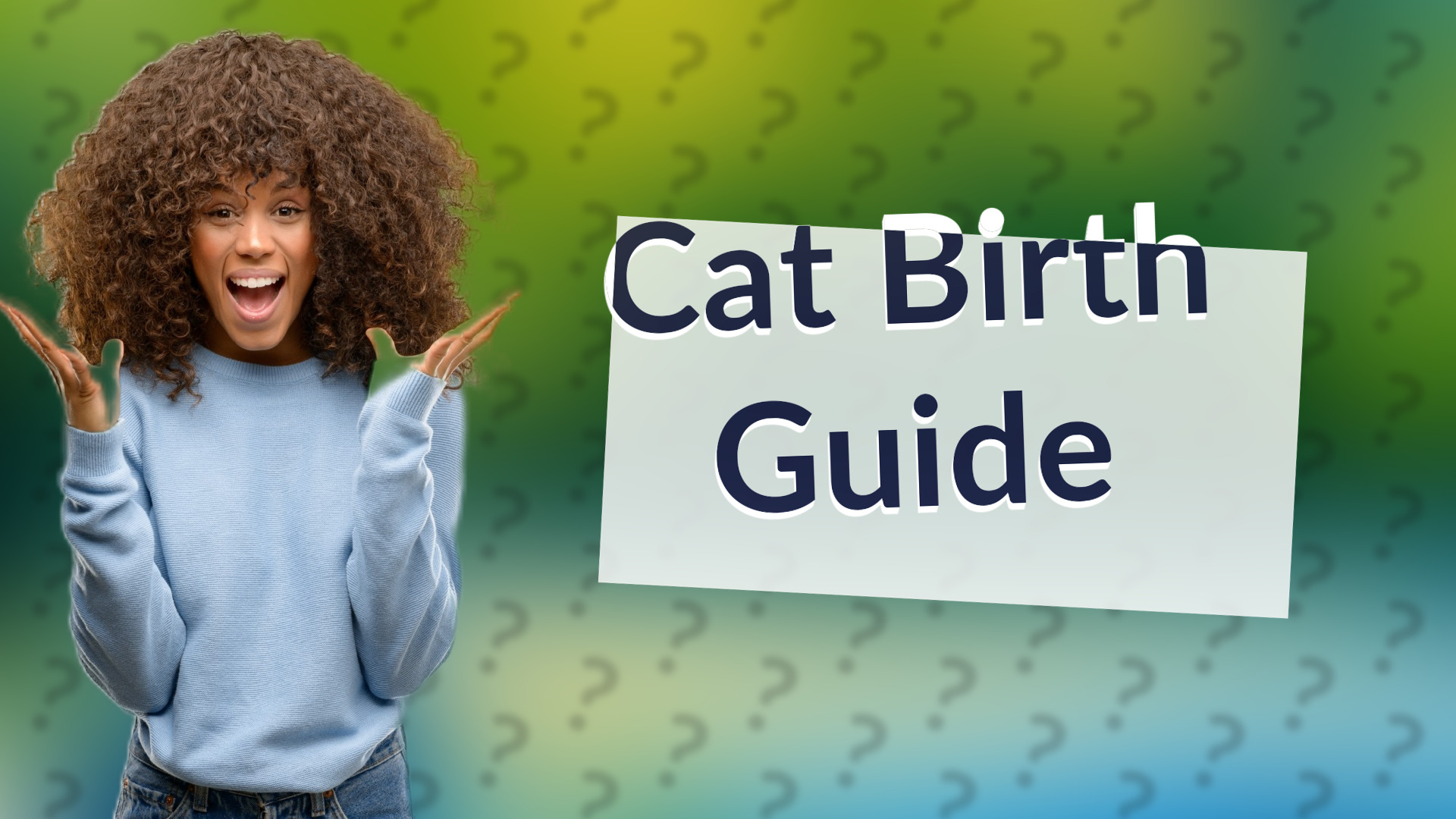 Cat Birth Guide