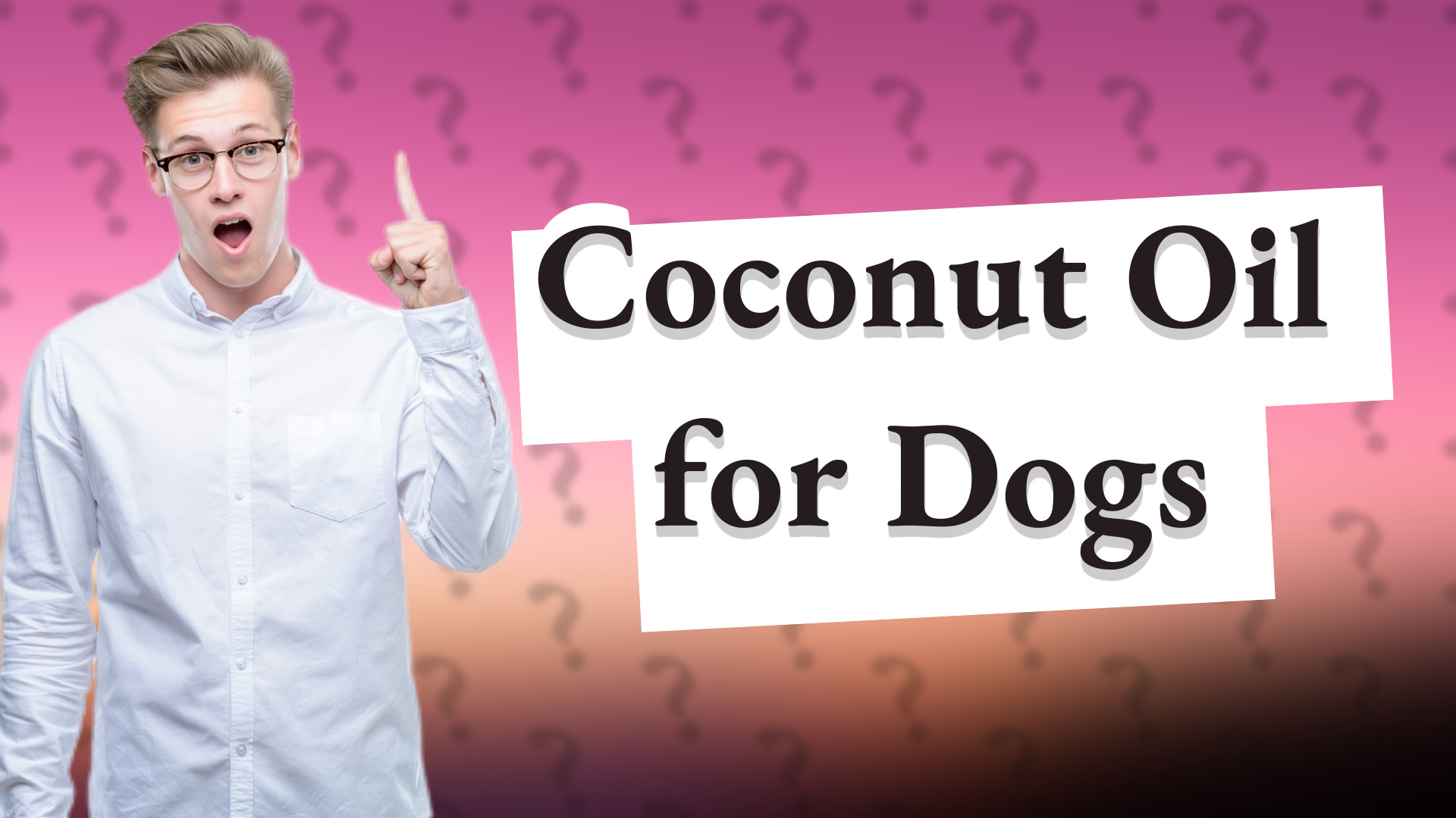 Coconut Oil for Dogs