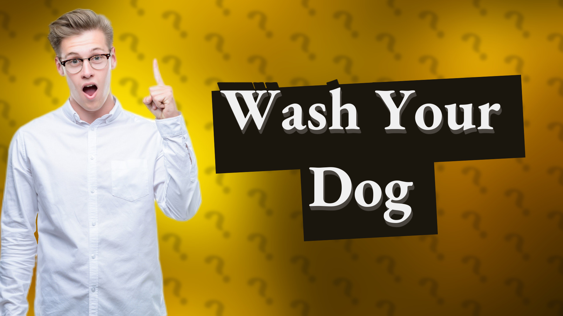 Wash Your Dog