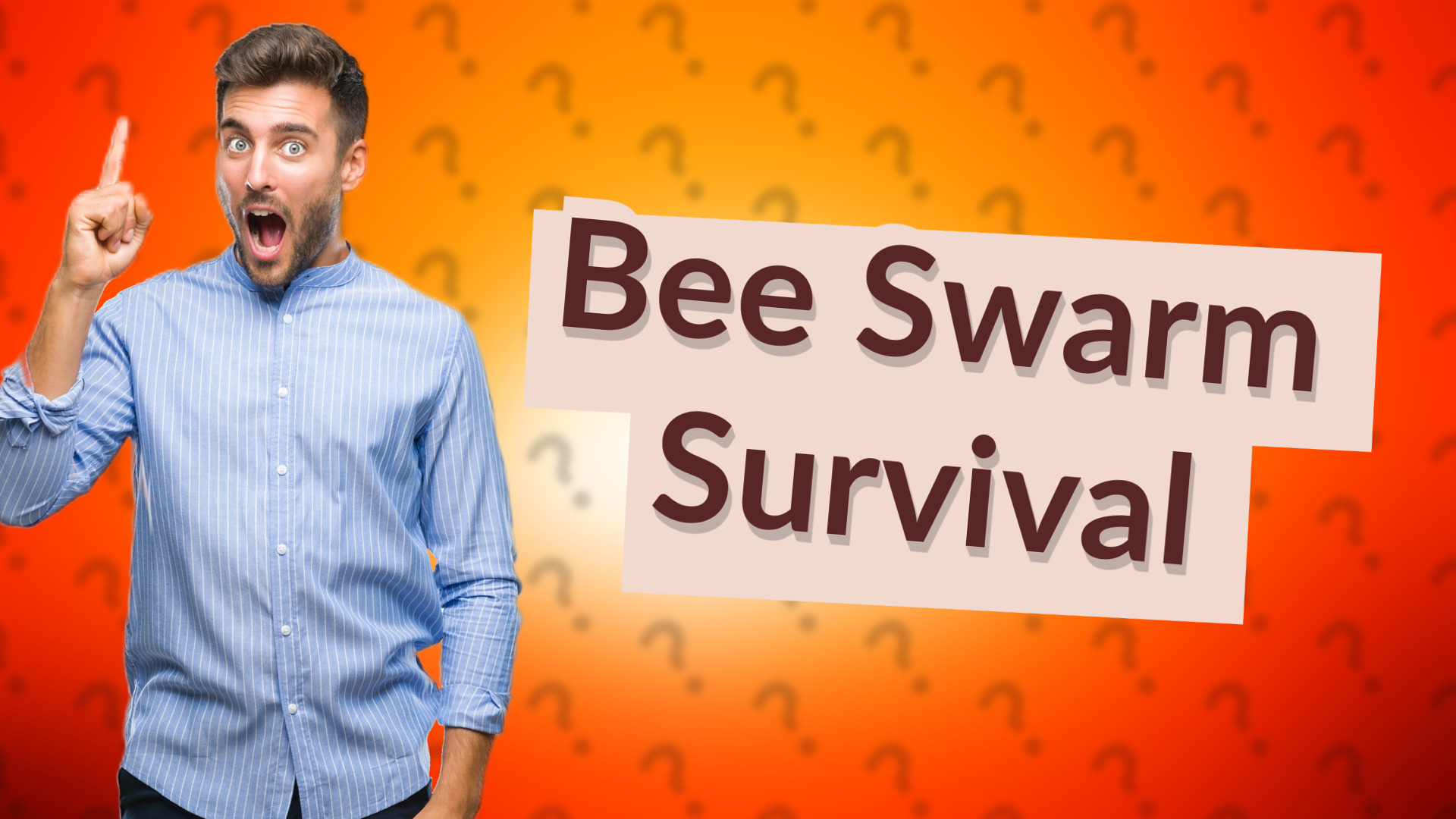 Bee Swarm Survival