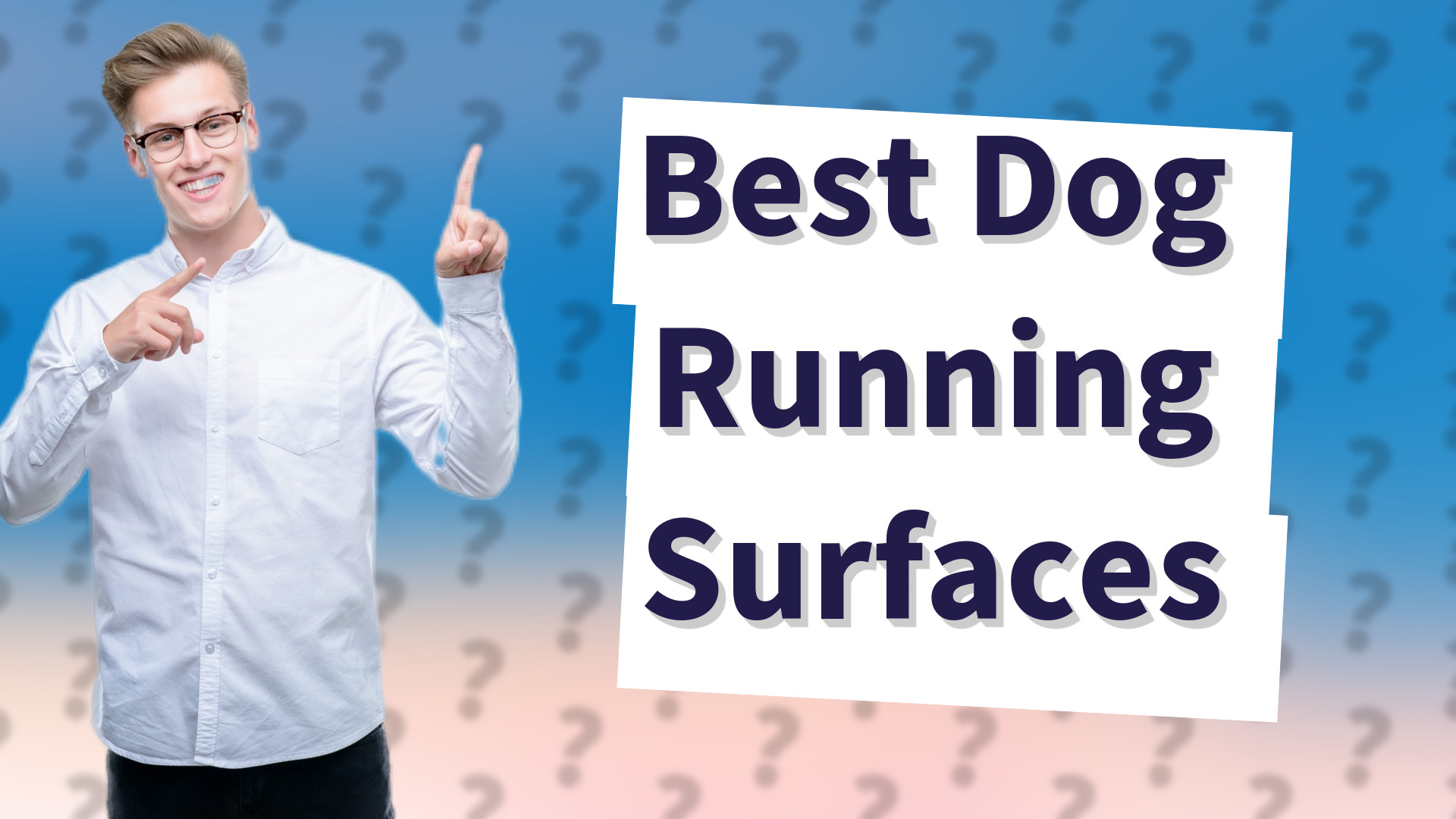 Best Dog Running Surfaces