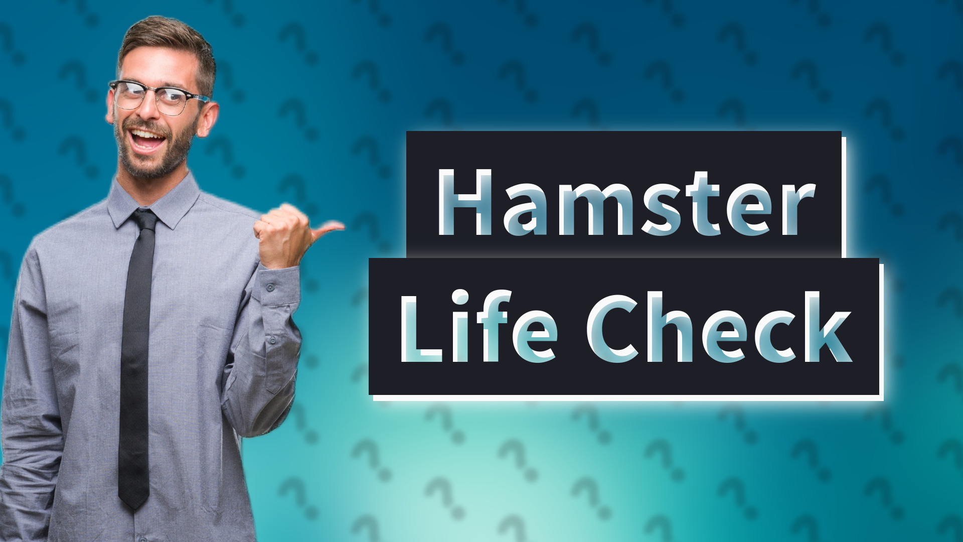 Hamster Life Check