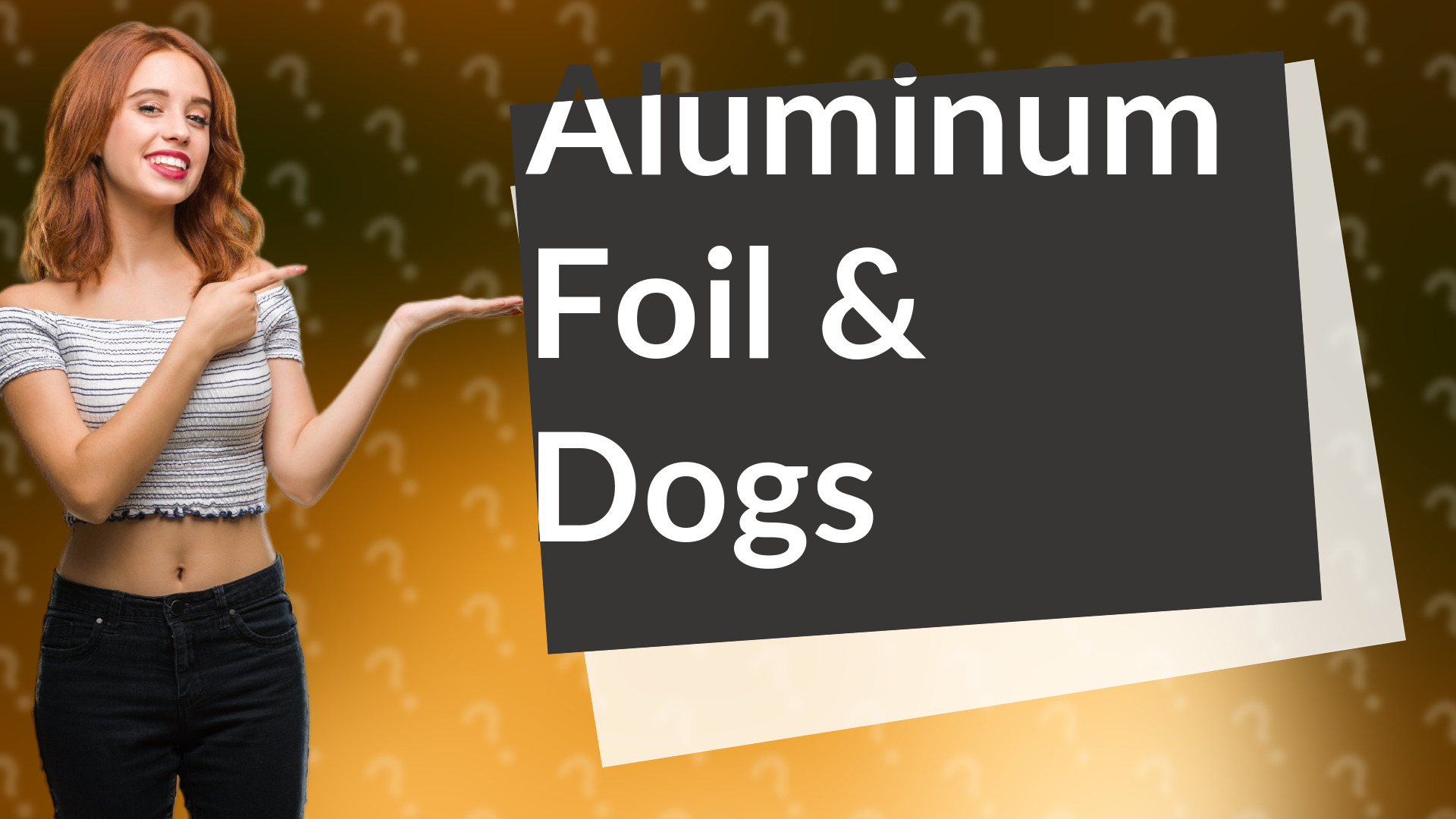 Aluminum Foil & Dogs