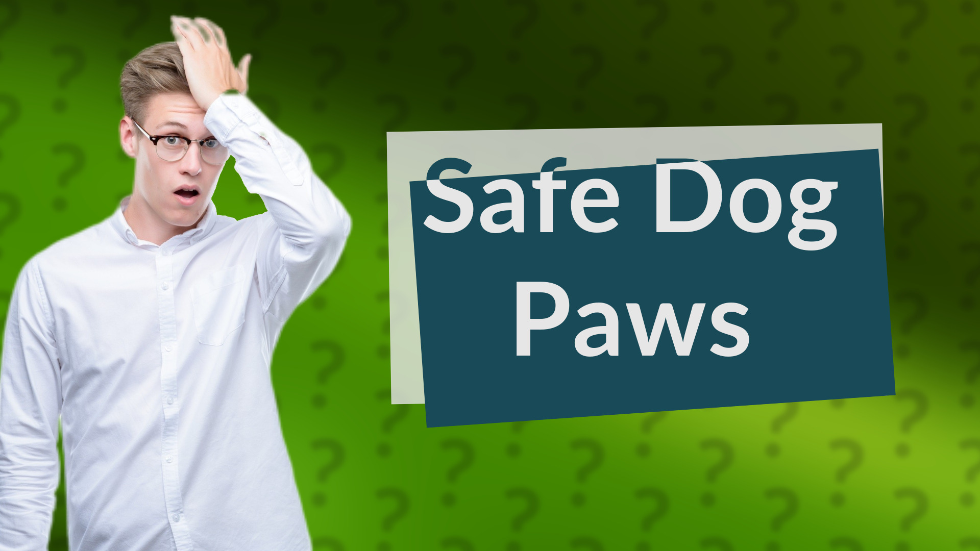 Safe Dog Paws