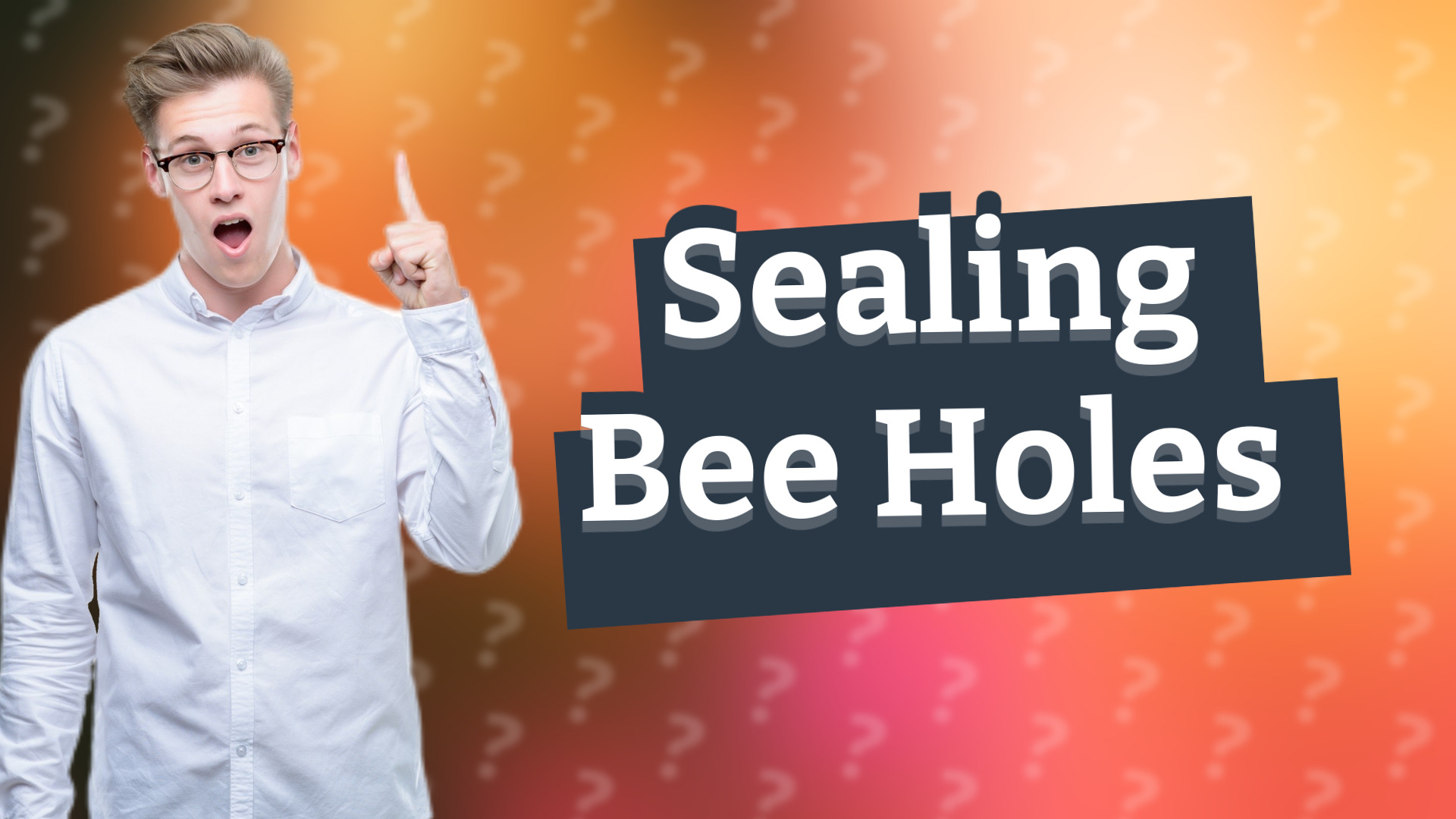 Sealing Bee Holes