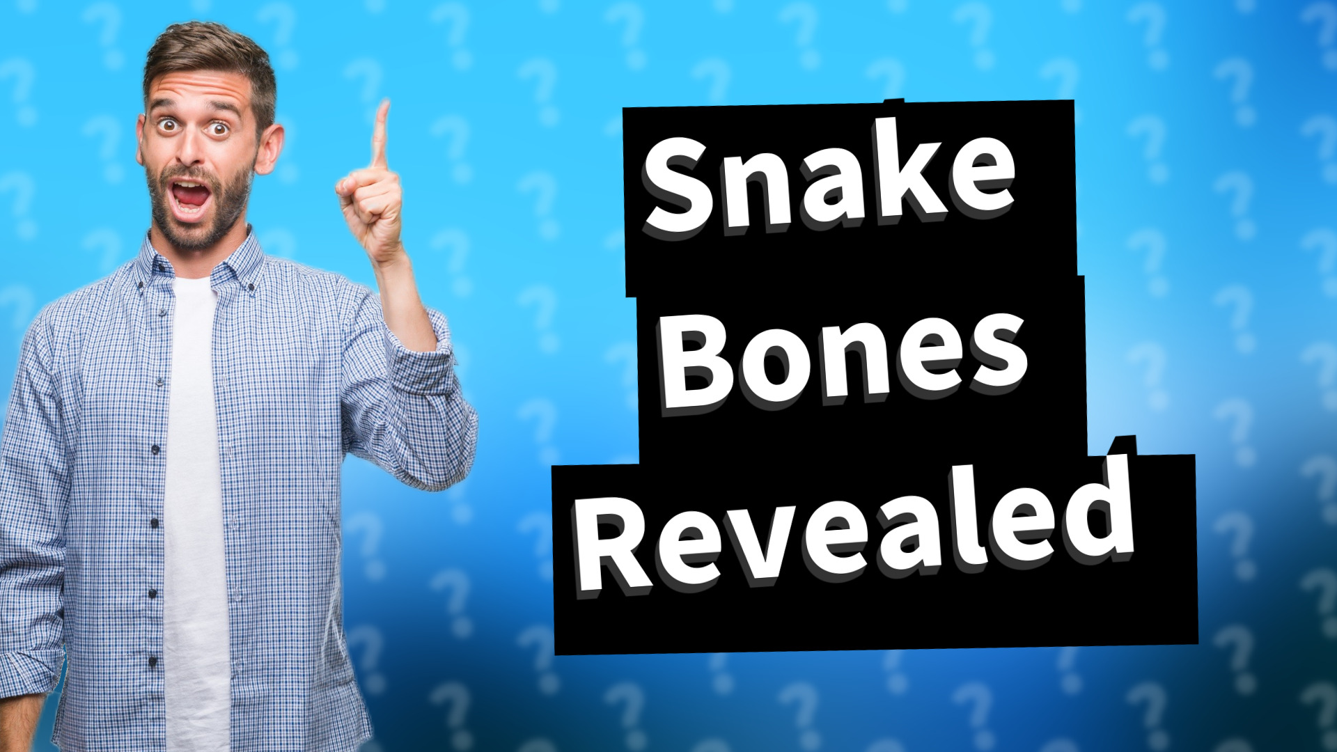 Snake Bones Revealed