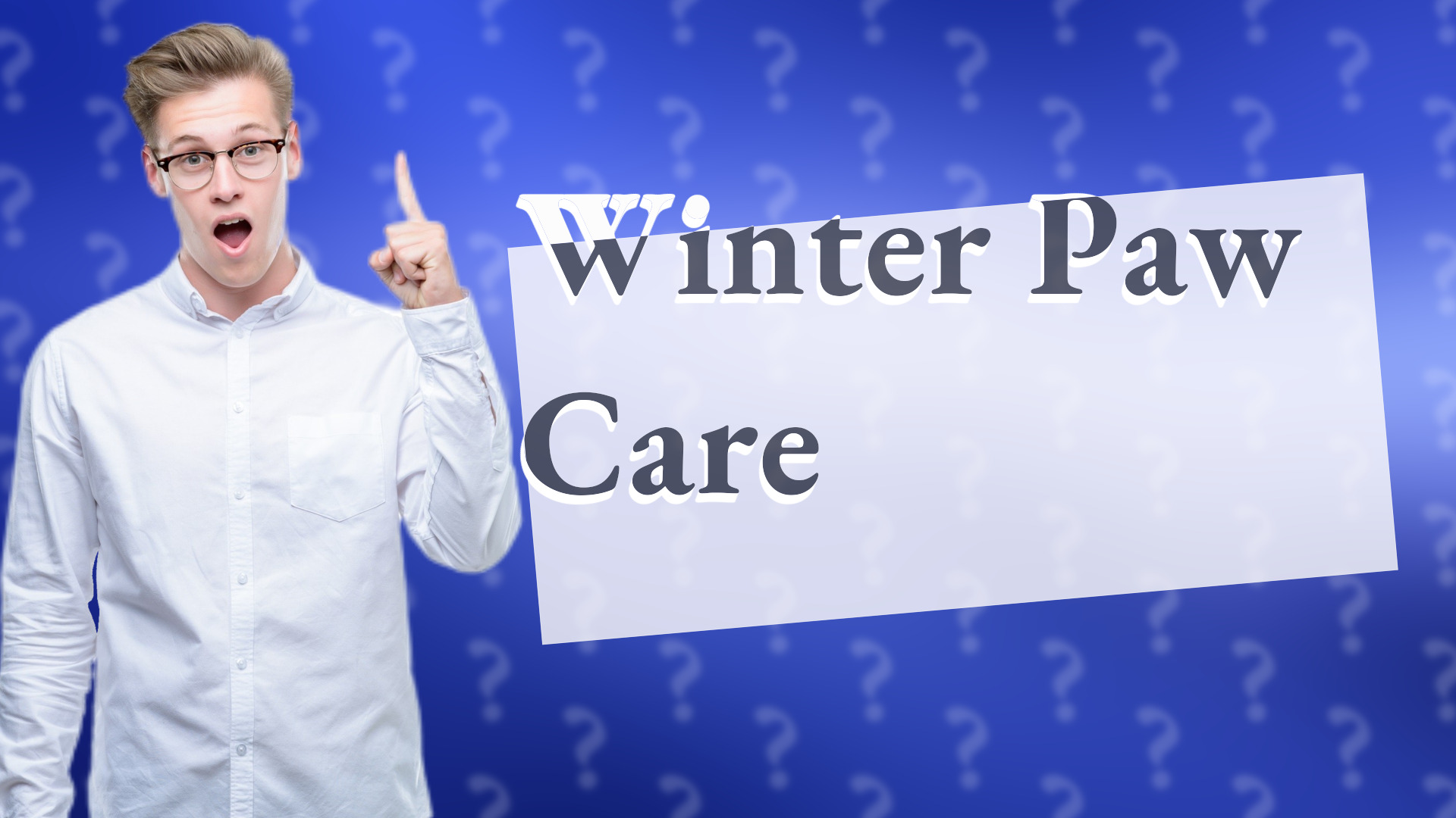 Winter Paw Care