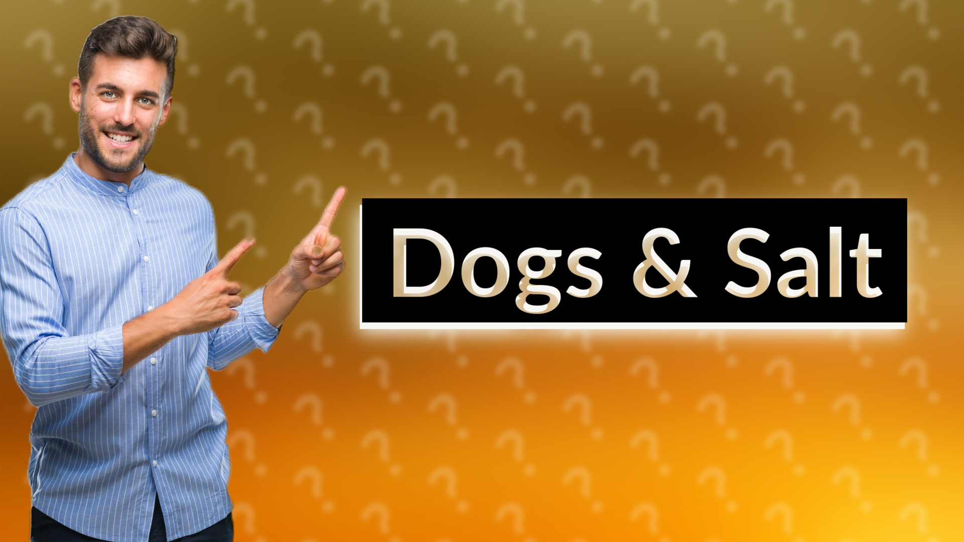 Dogs & Salt