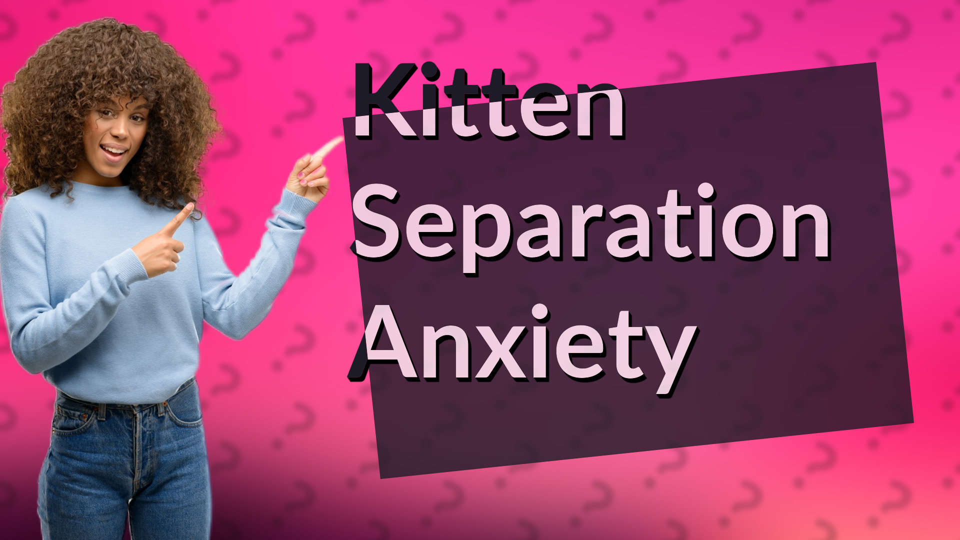 Kitten Separation Anxiety