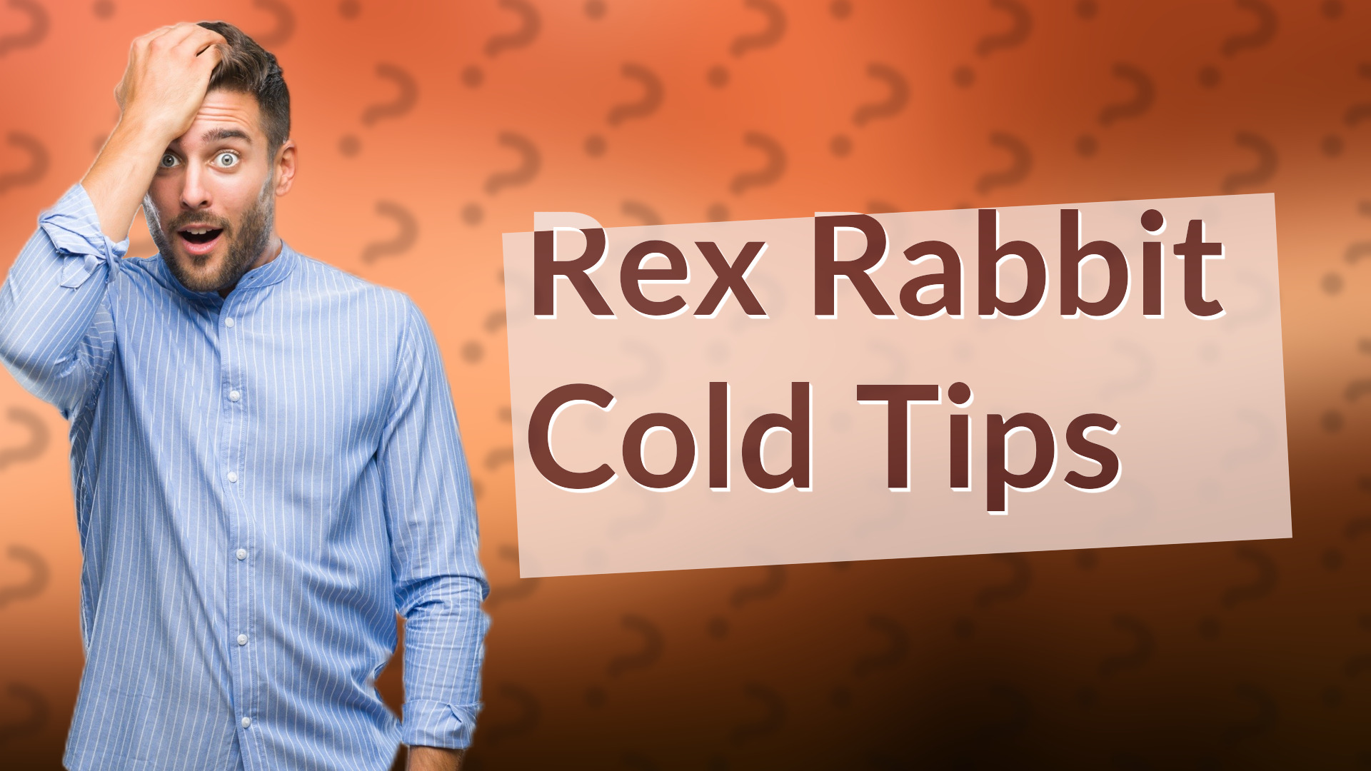 Rex Rabbit Cold Tips