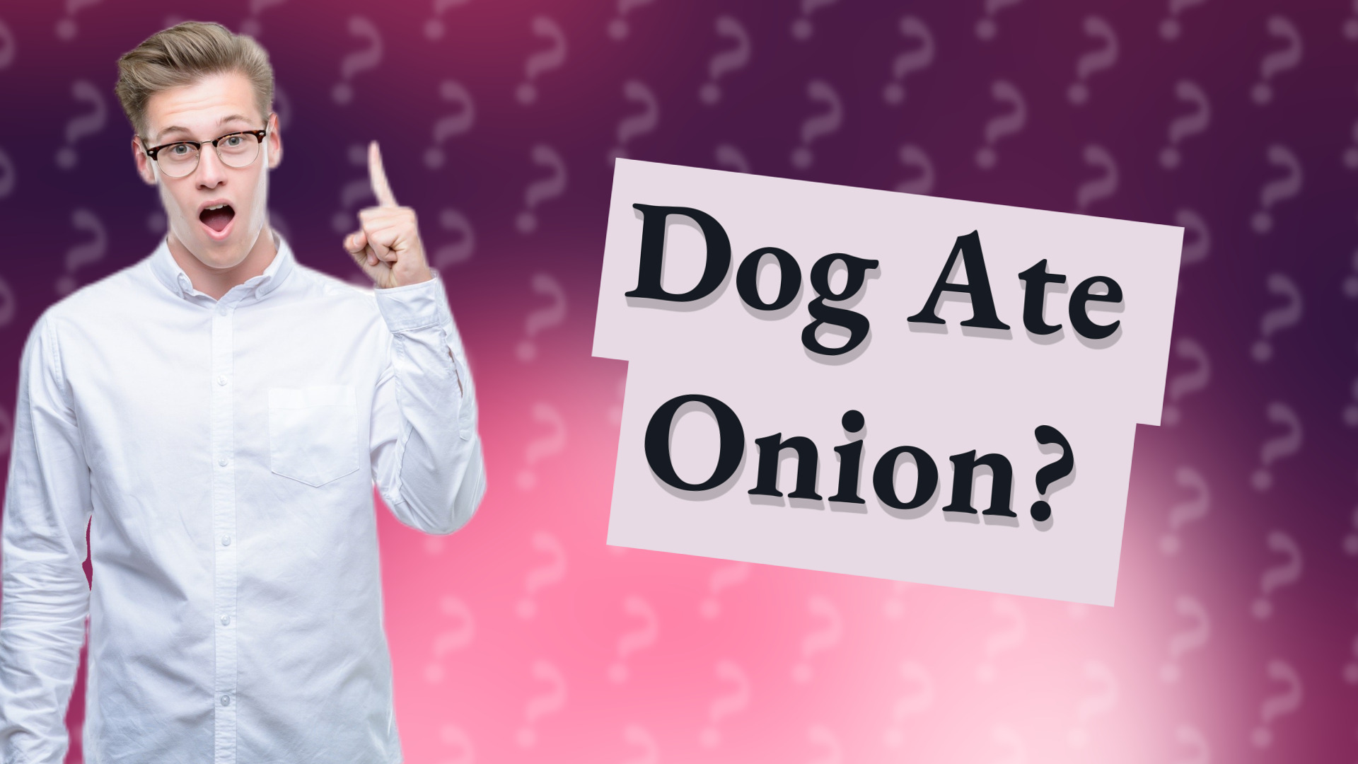 Dog Ate Onion?