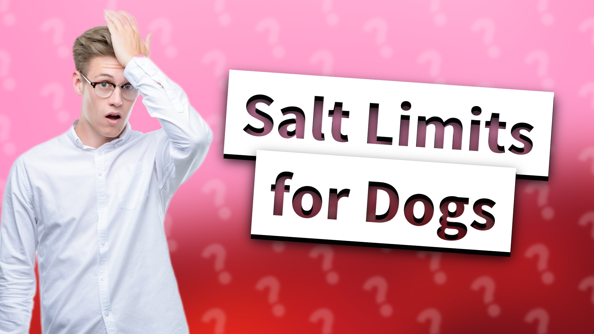 Salt Limits for Dogs