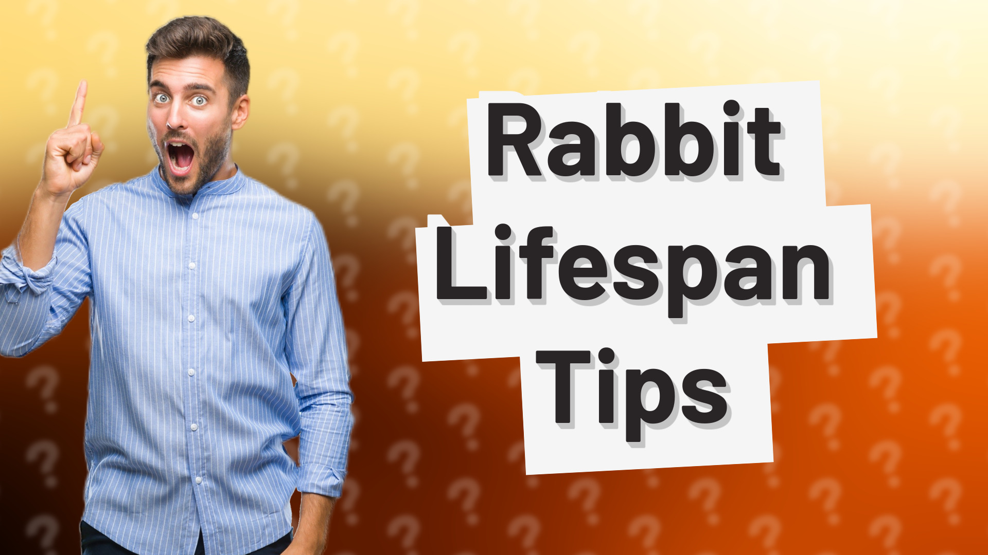 Rabbit Lifespan Tips