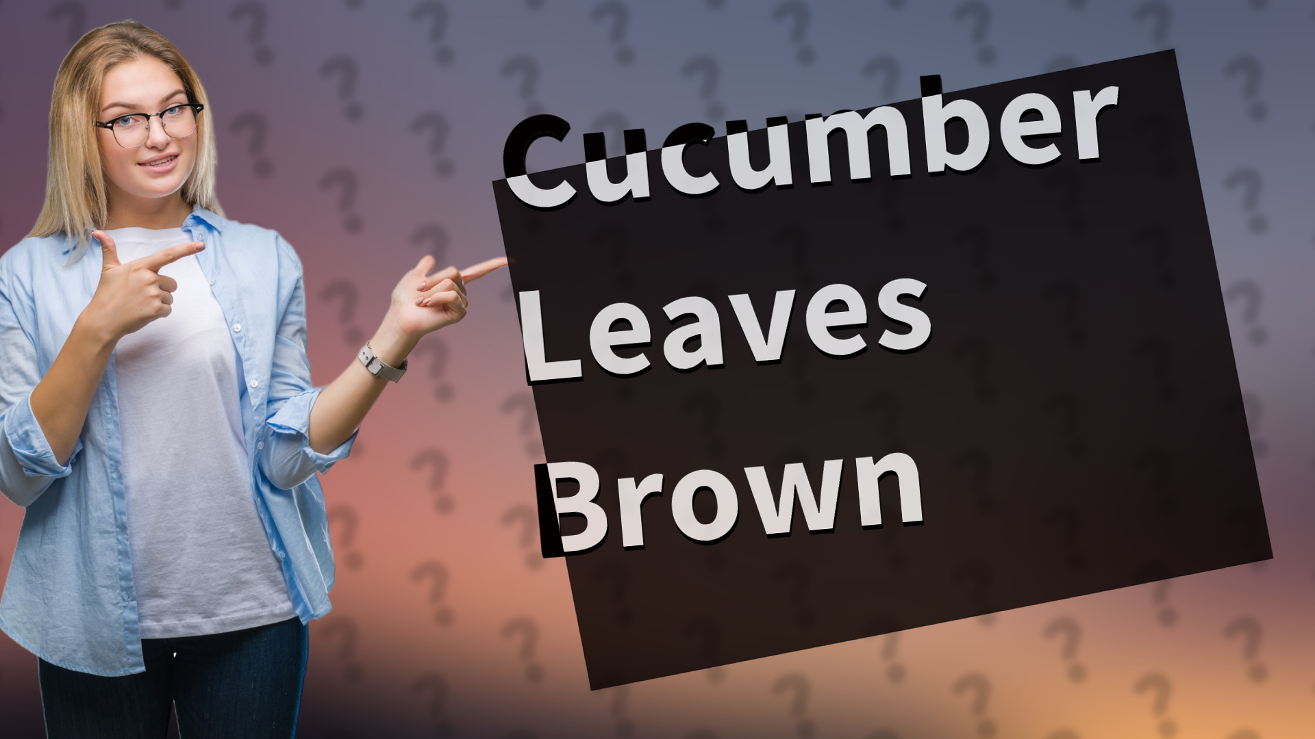 Cucumber Leaves Brown